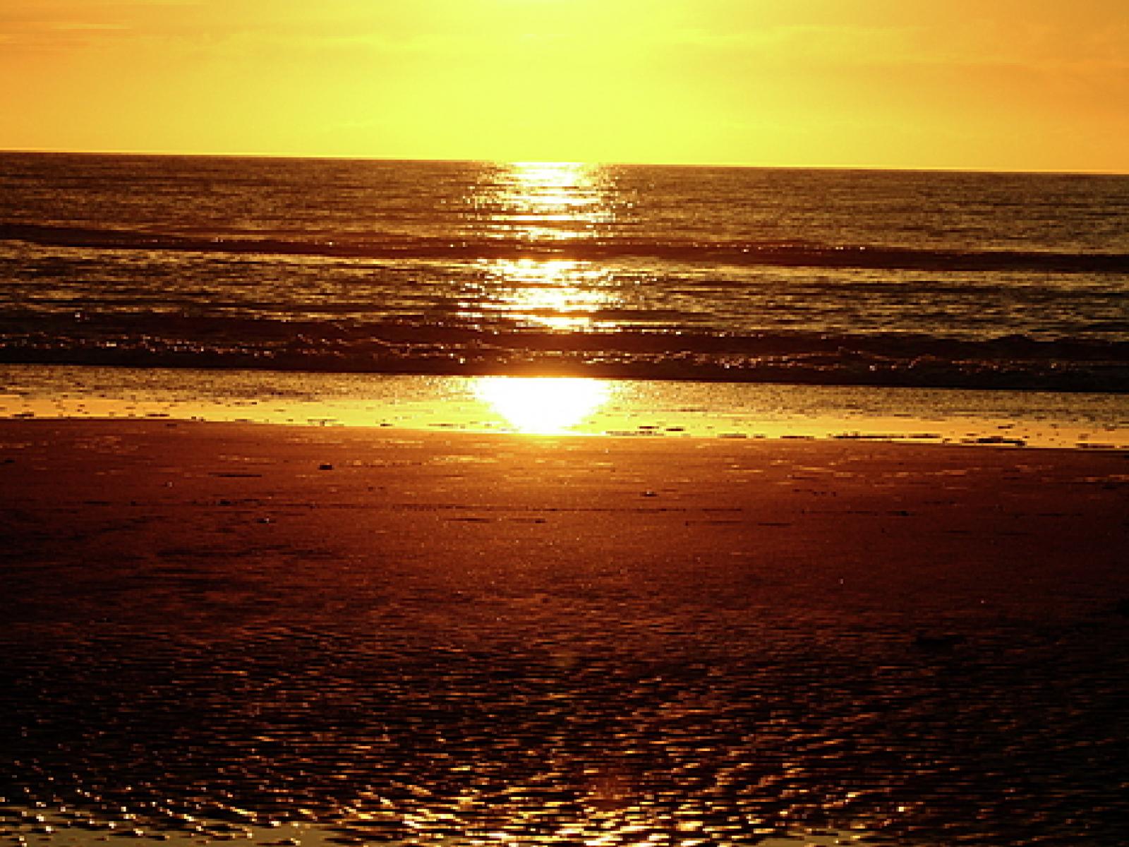 36B Palmer Road, Foxton Beach