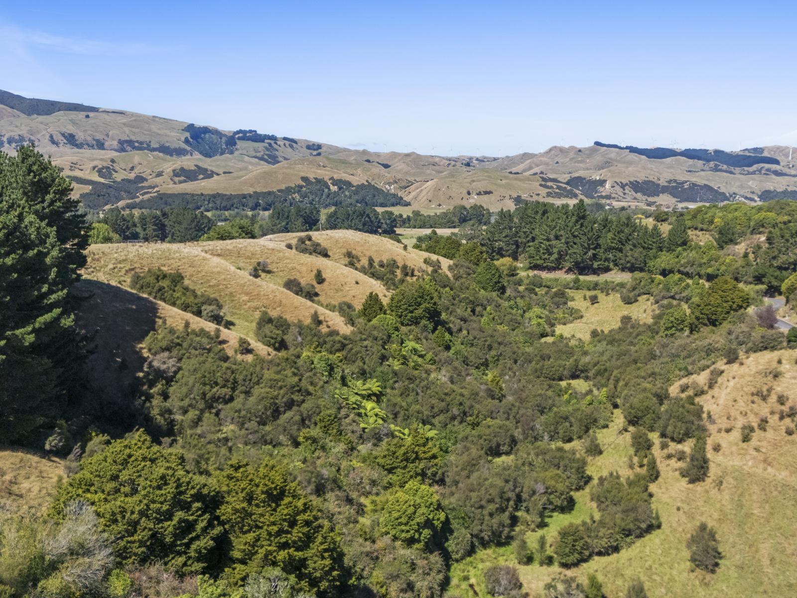 377 Pohangina Road, Ashhurst