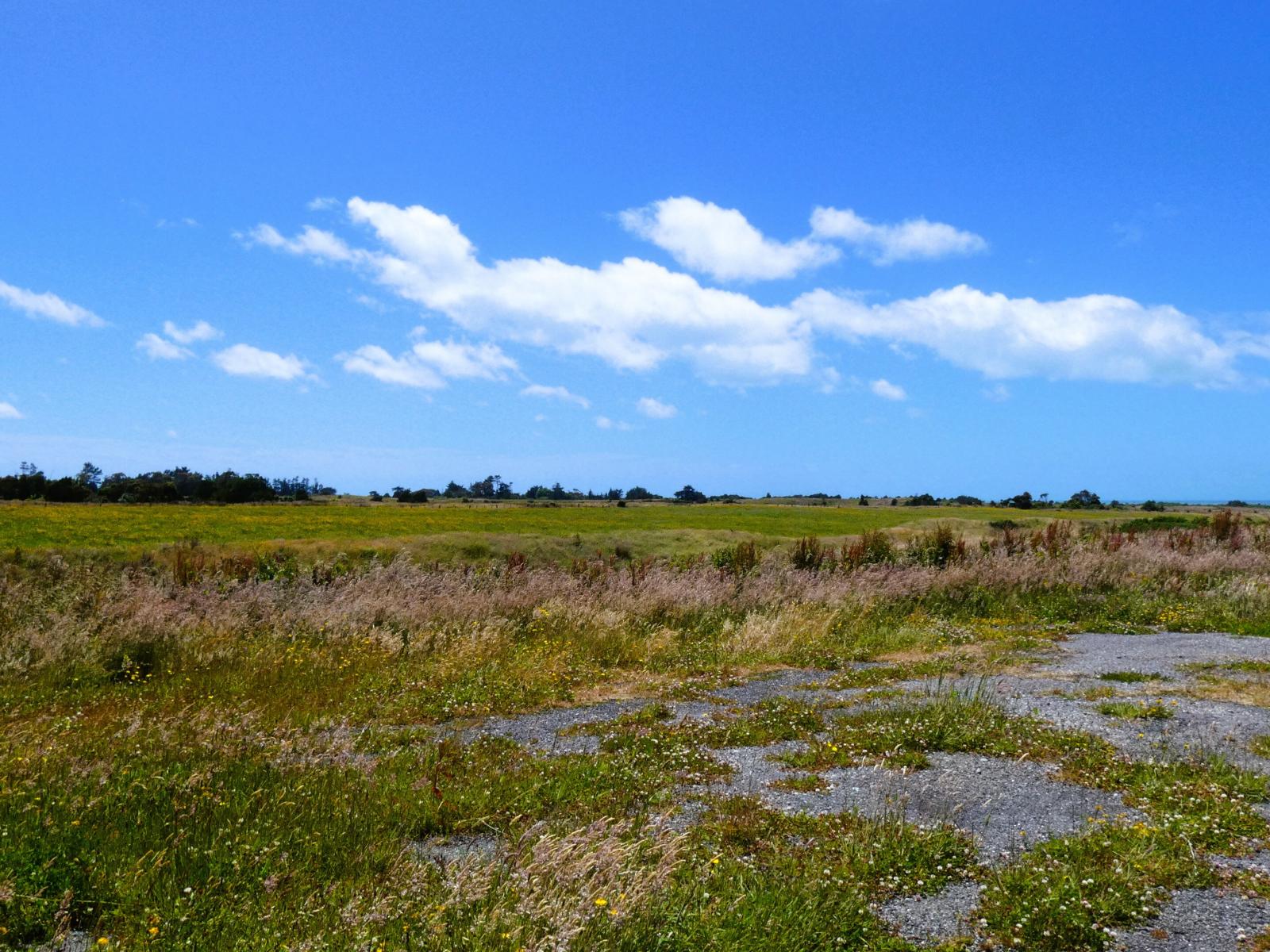 2/1054 Wilsons Lead Road, Cape Foulwind