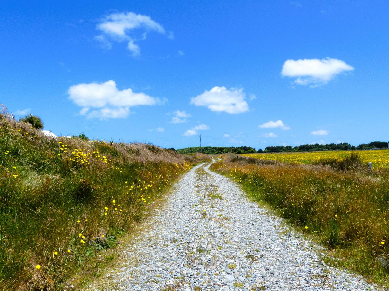 2/1054 Wilsons Lead Road, Cape Foulwind