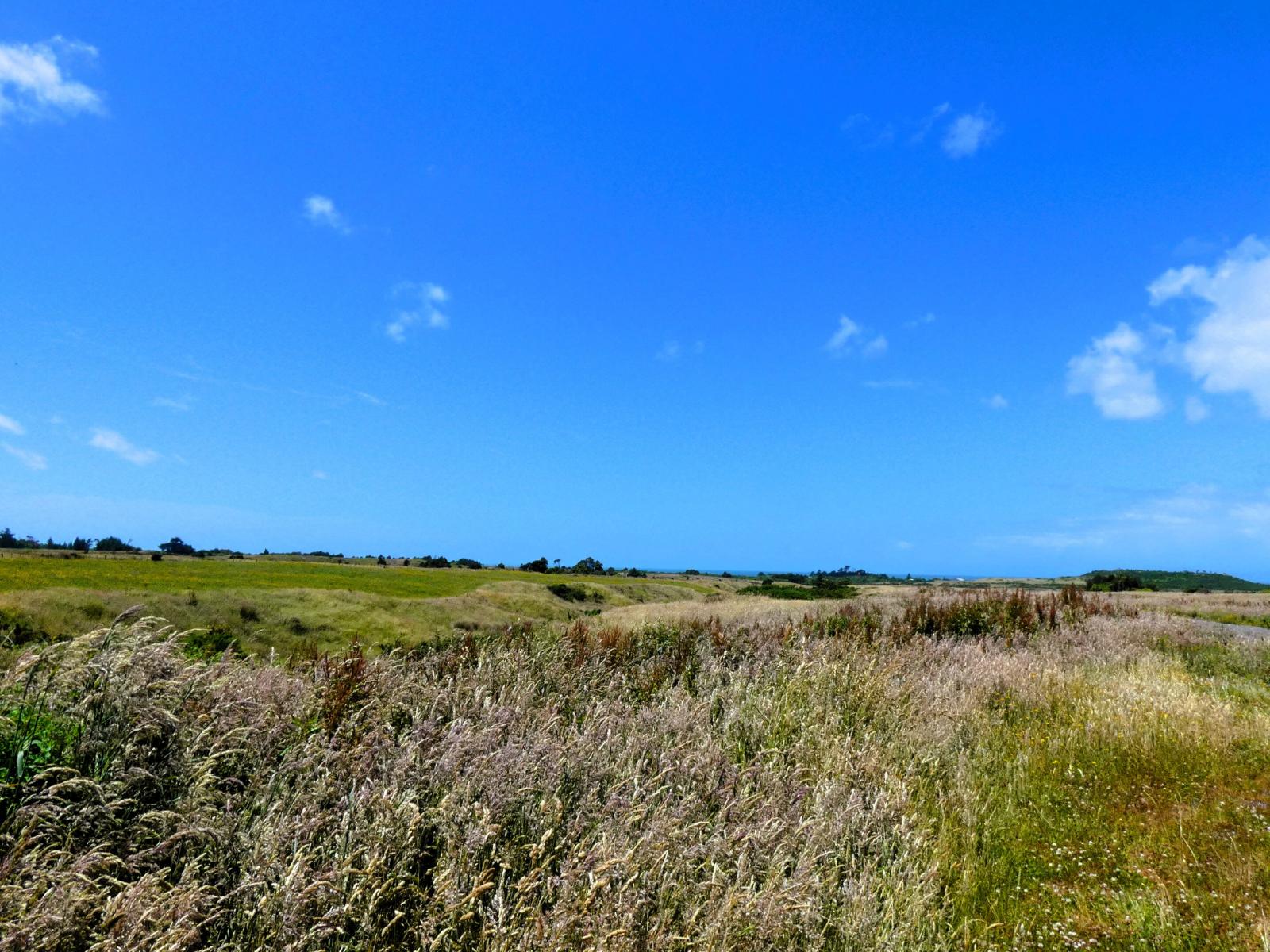 2/1054 Wilsons Lead Road, Cape Foulwind