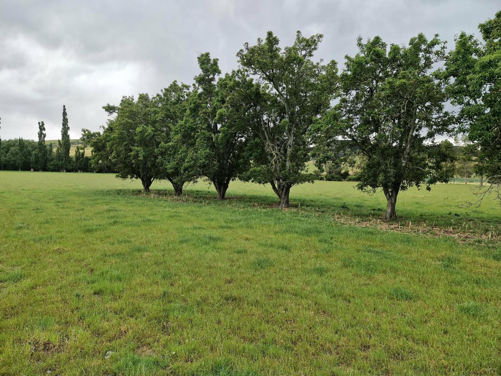 287 Oven Hill Road (Part of), Teviot