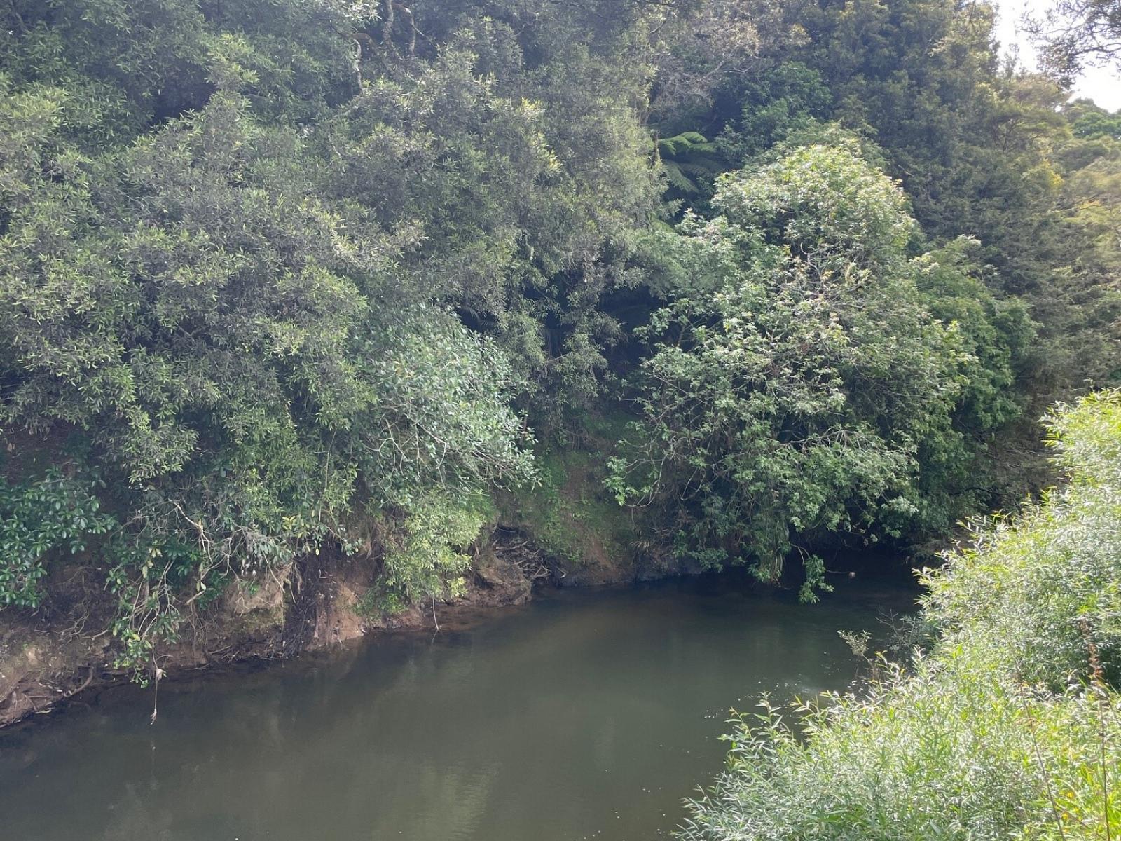 1, 2 & 4, 3054 State Highway 23, Raglan