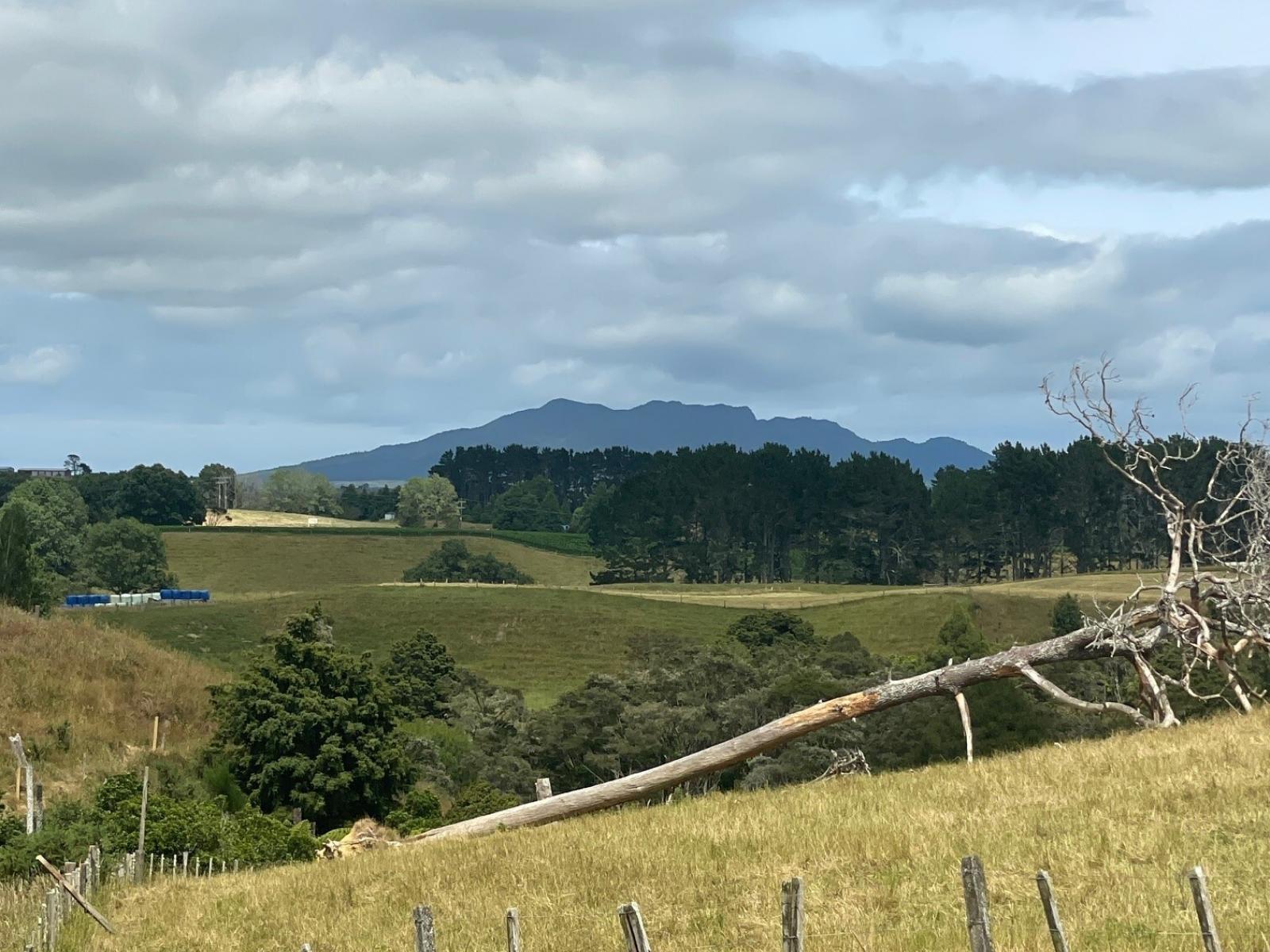 1, 2 & 4, 3054 State Highway 23, Raglan