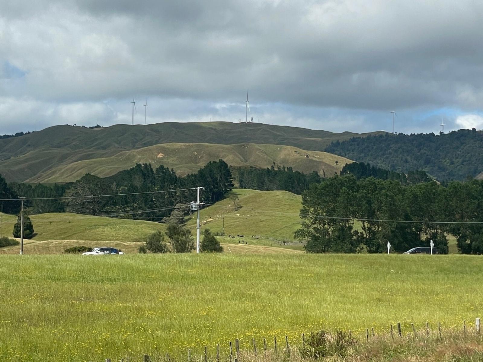 1, 2 & 4, 3054 State Highway 23, Raglan