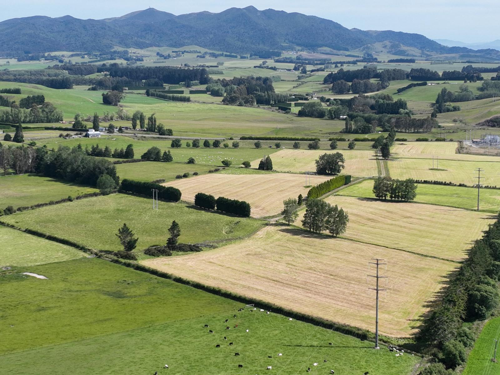 Charlton Road, Upper Charlton