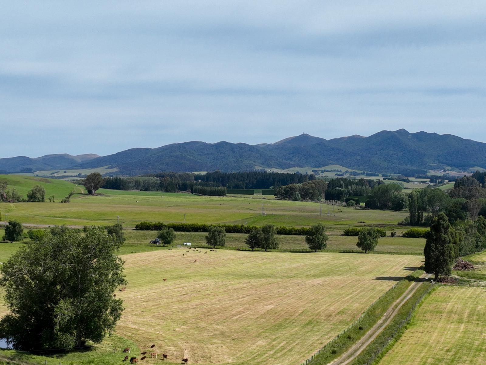 Charlton Road, Upper Charlton