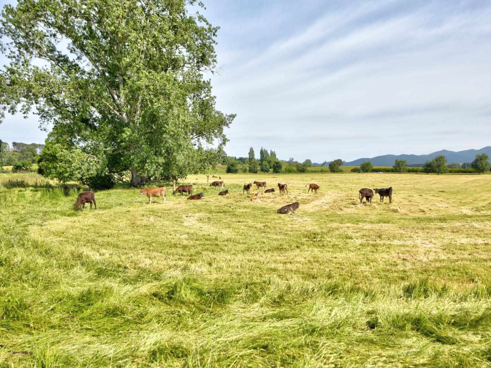 Charlton Road, Upper Charlton