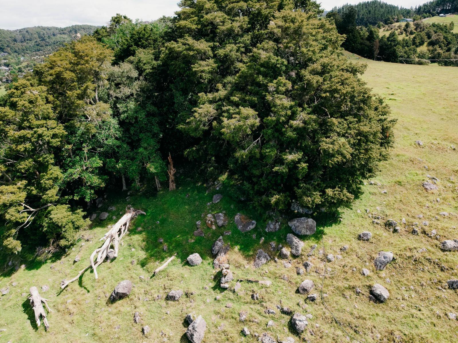 48 Bedlington Street, Whau Valley