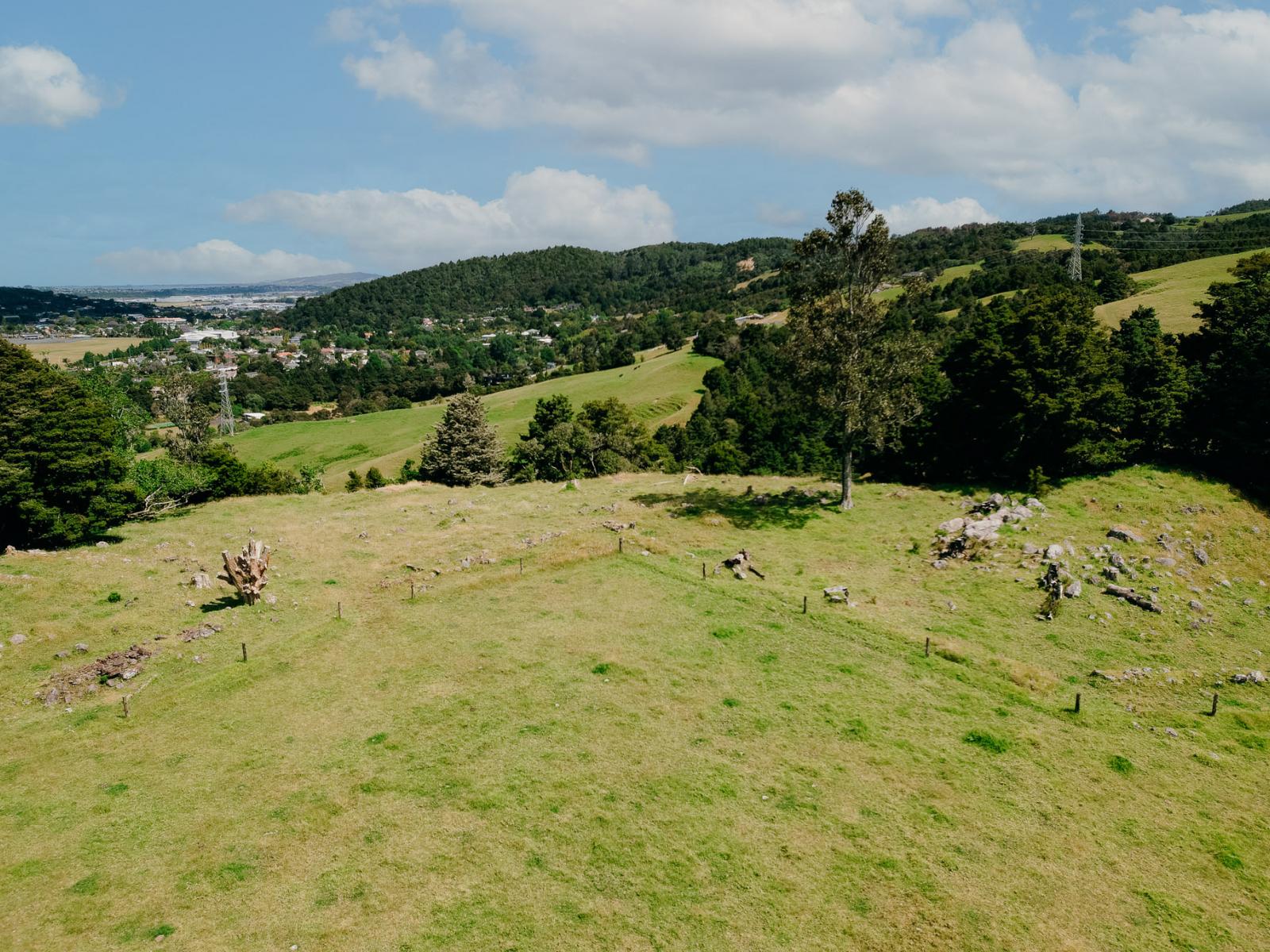 48 Bedlington Street, Whau Valley