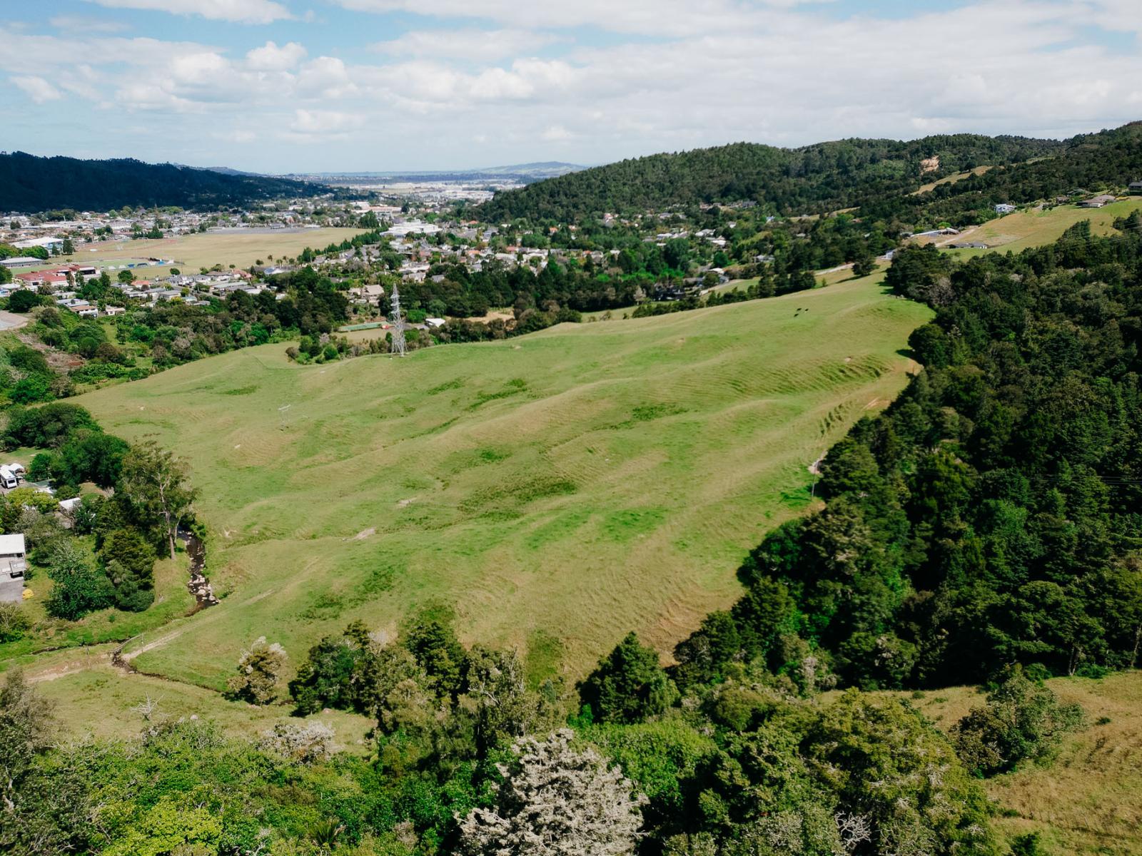 48 Bedlington Street, Whau Valley