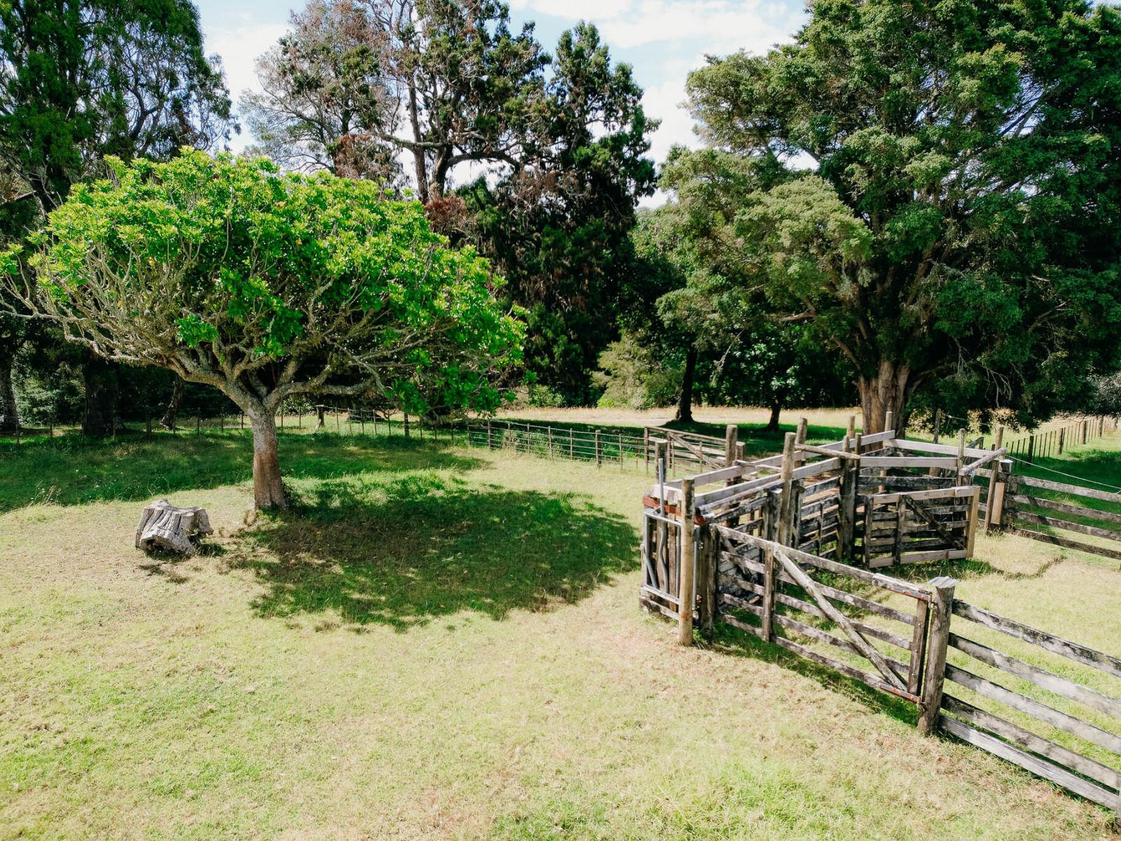 48 Bedlington Street, Whau Valley