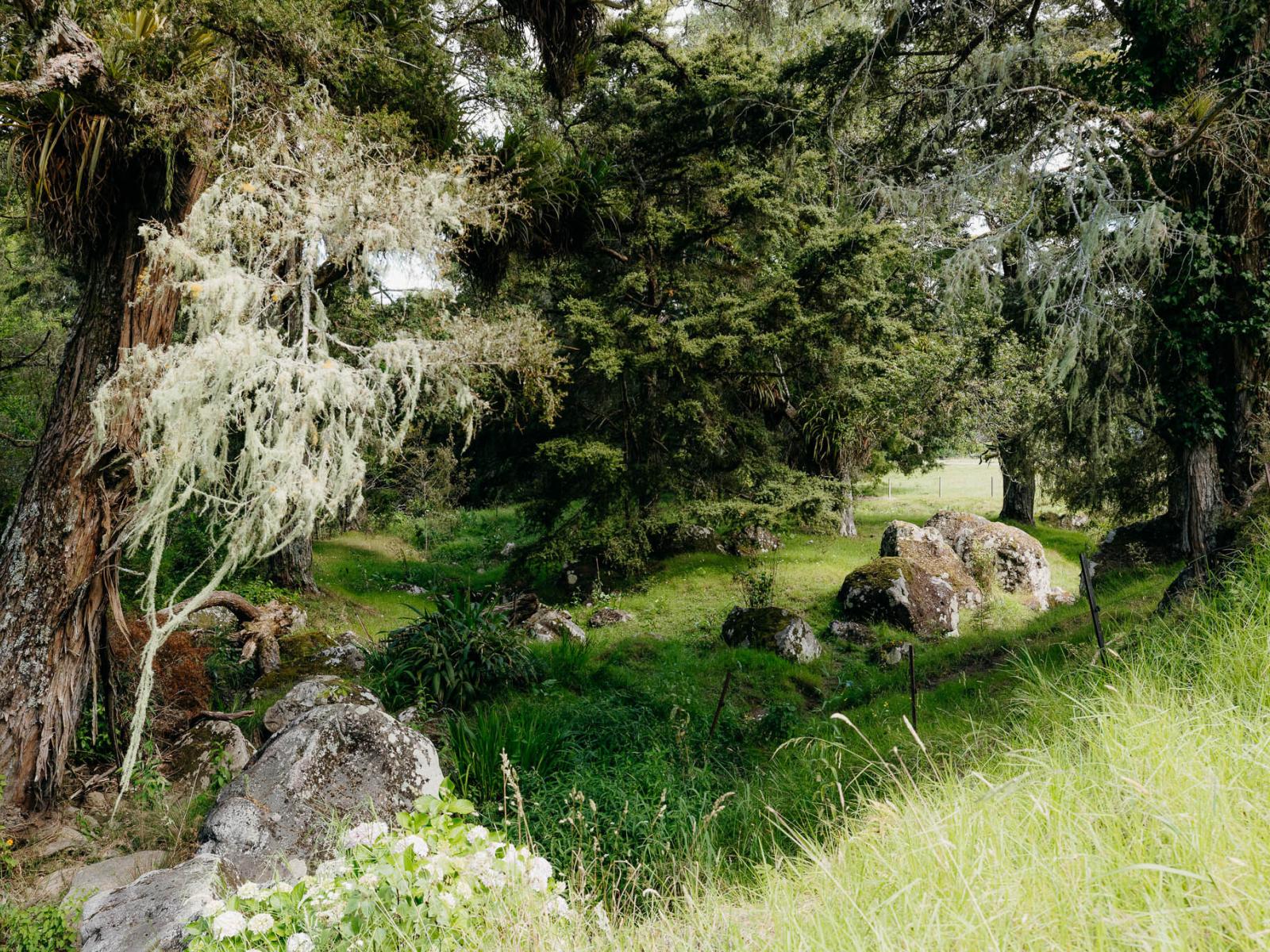 48 Bedlington Street, Whau Valley