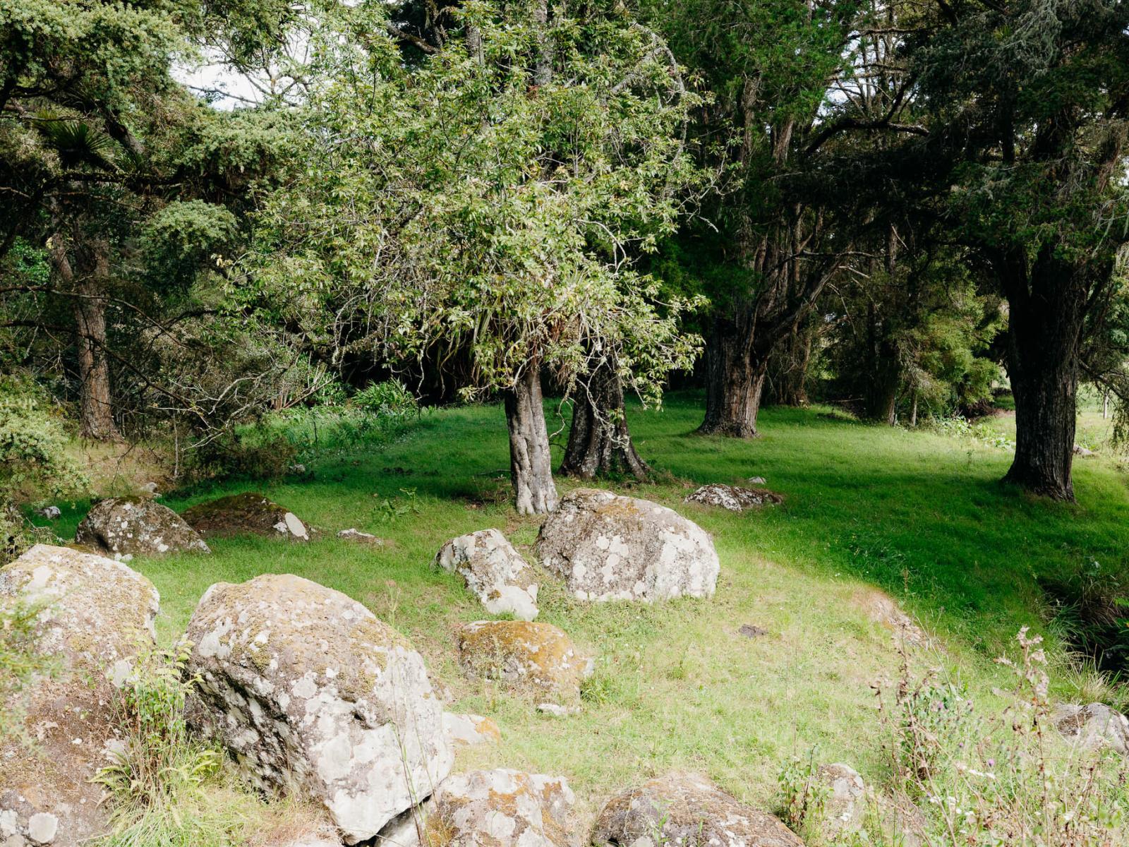 48 Bedlington Street, Whau Valley