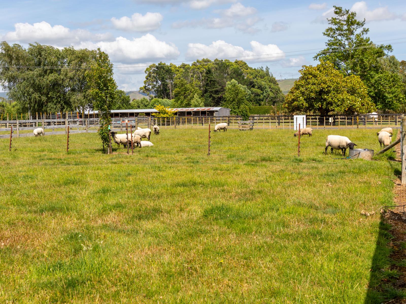 69 Sowry Road, Woodville