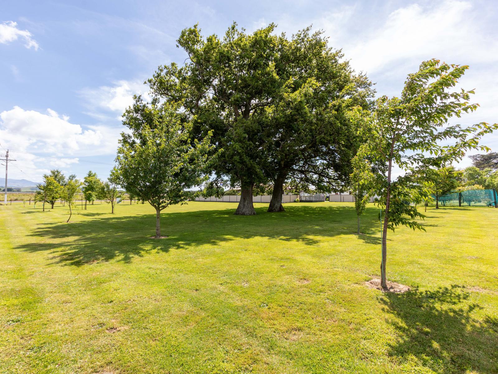 69 Sowry Road, Woodville