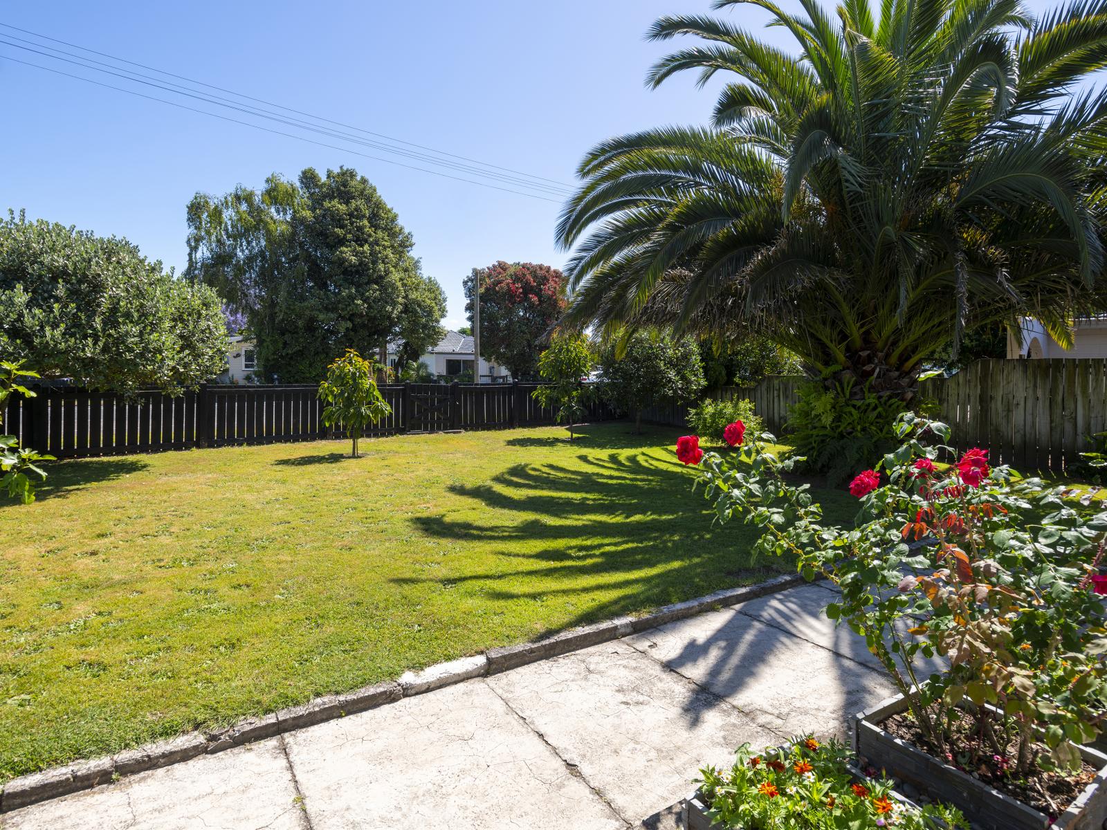 2 Kennedy Street, Mangapapa