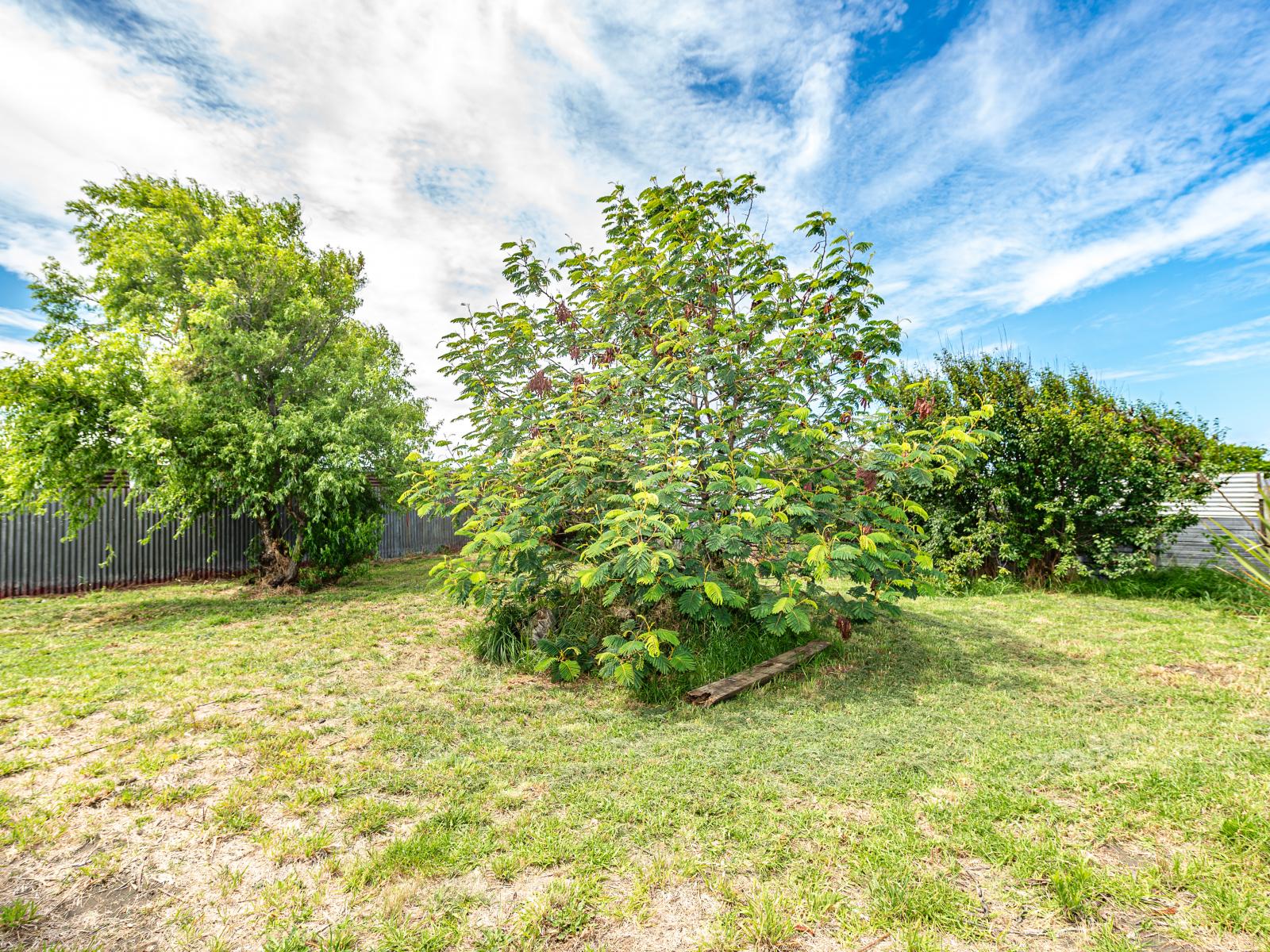 36 Kowhai Street, Castlecliff