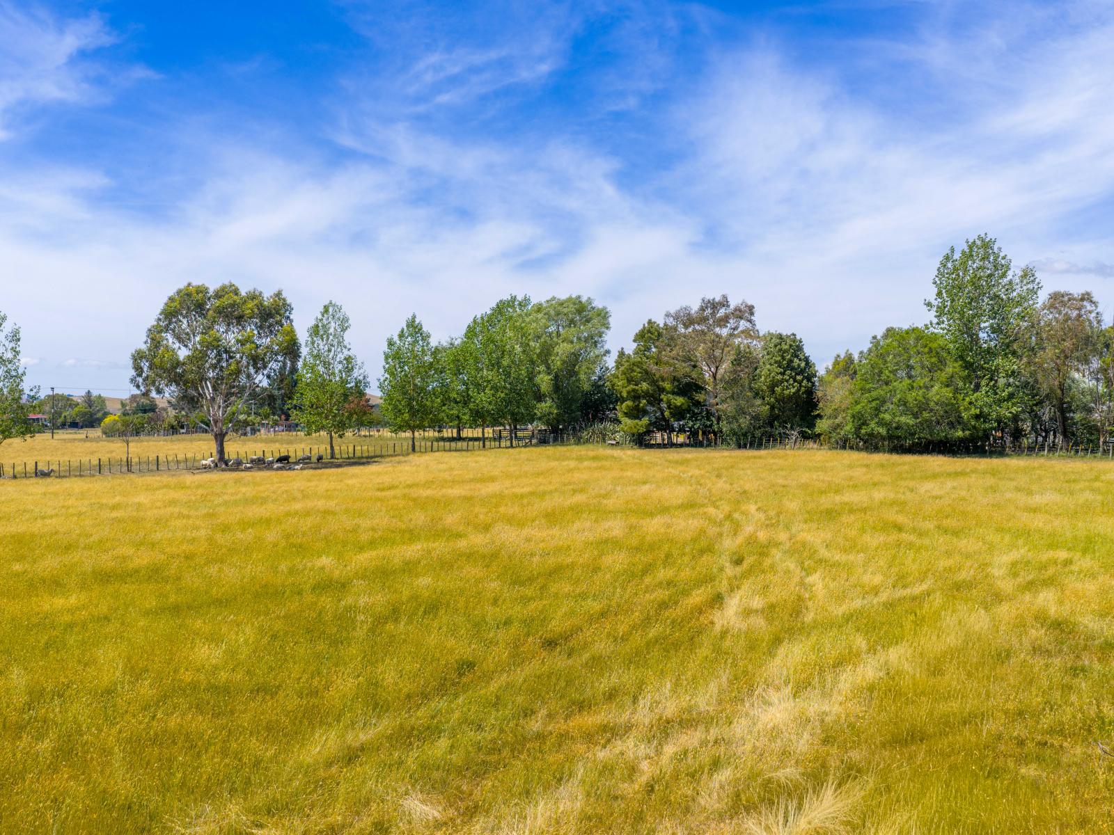 30 Pa Street, Waipawa
