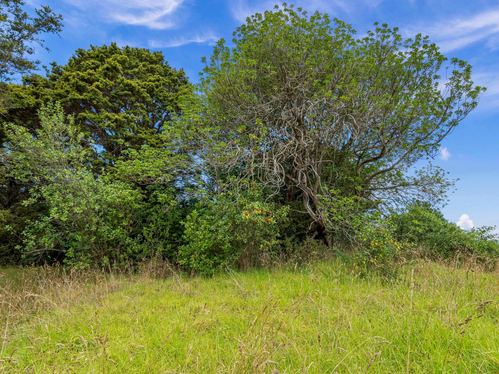 88 Te Rongo Road, Parua Bay