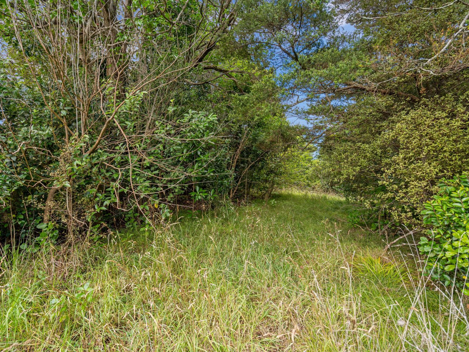 88 Te Rongo Road, Parua Bay