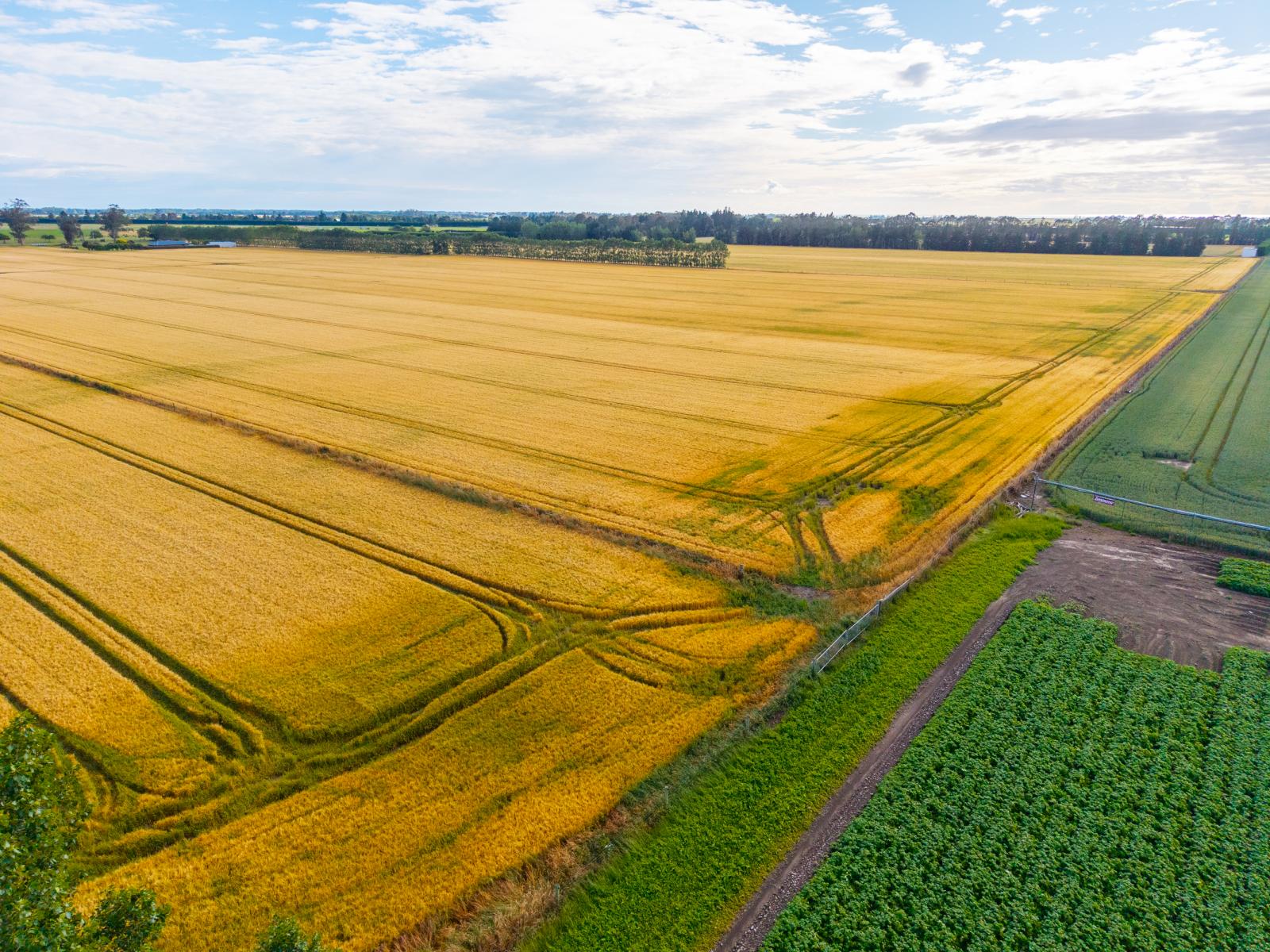 215 Falvey Road, Levels