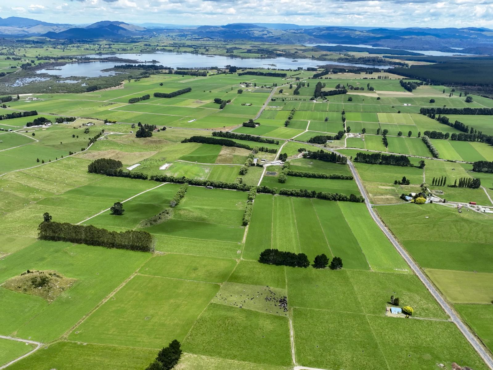 62 Ngamotu Road, Rerewhakaaitu