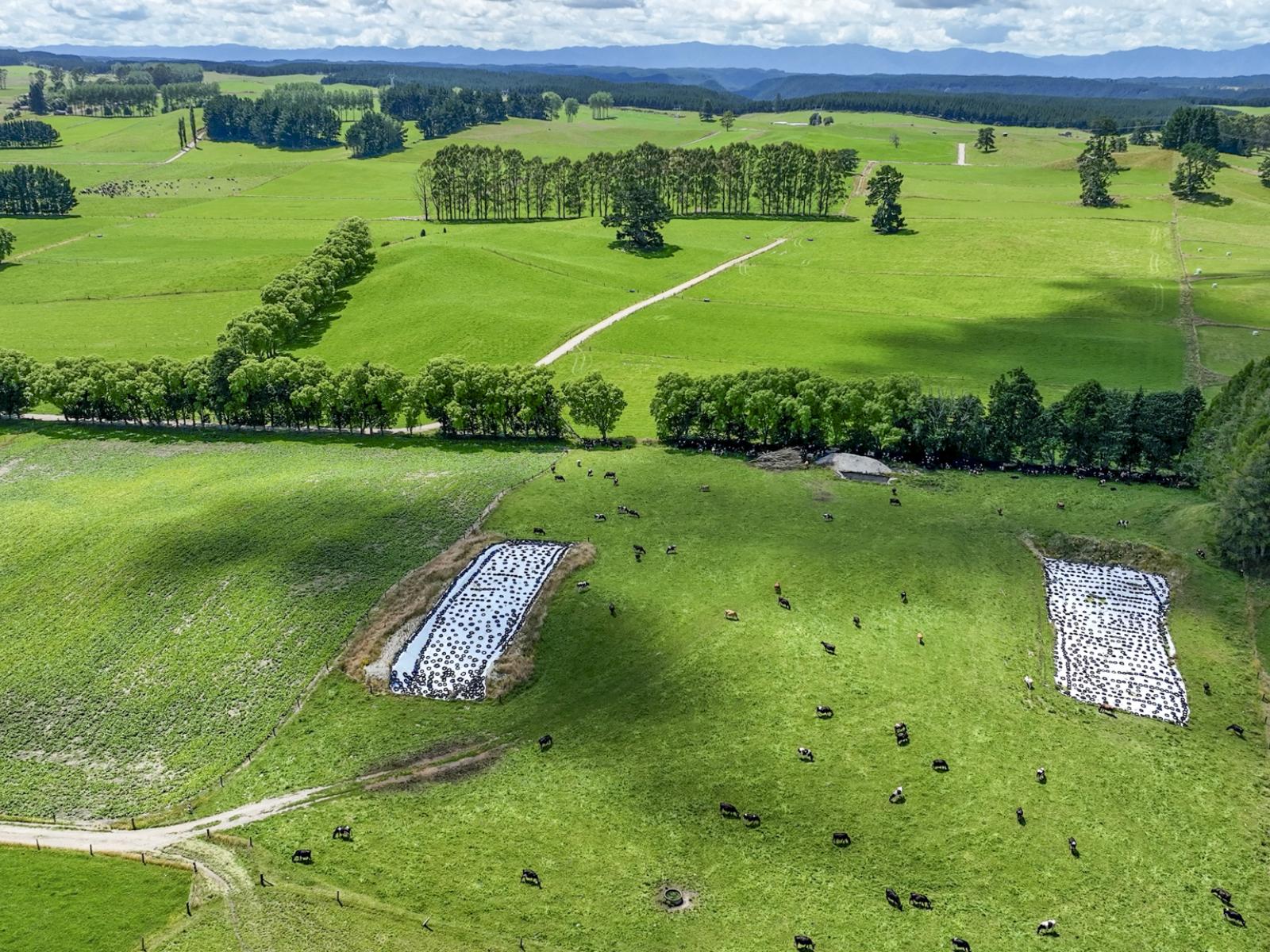 62 Ngamotu Road, Rerewhakaaitu