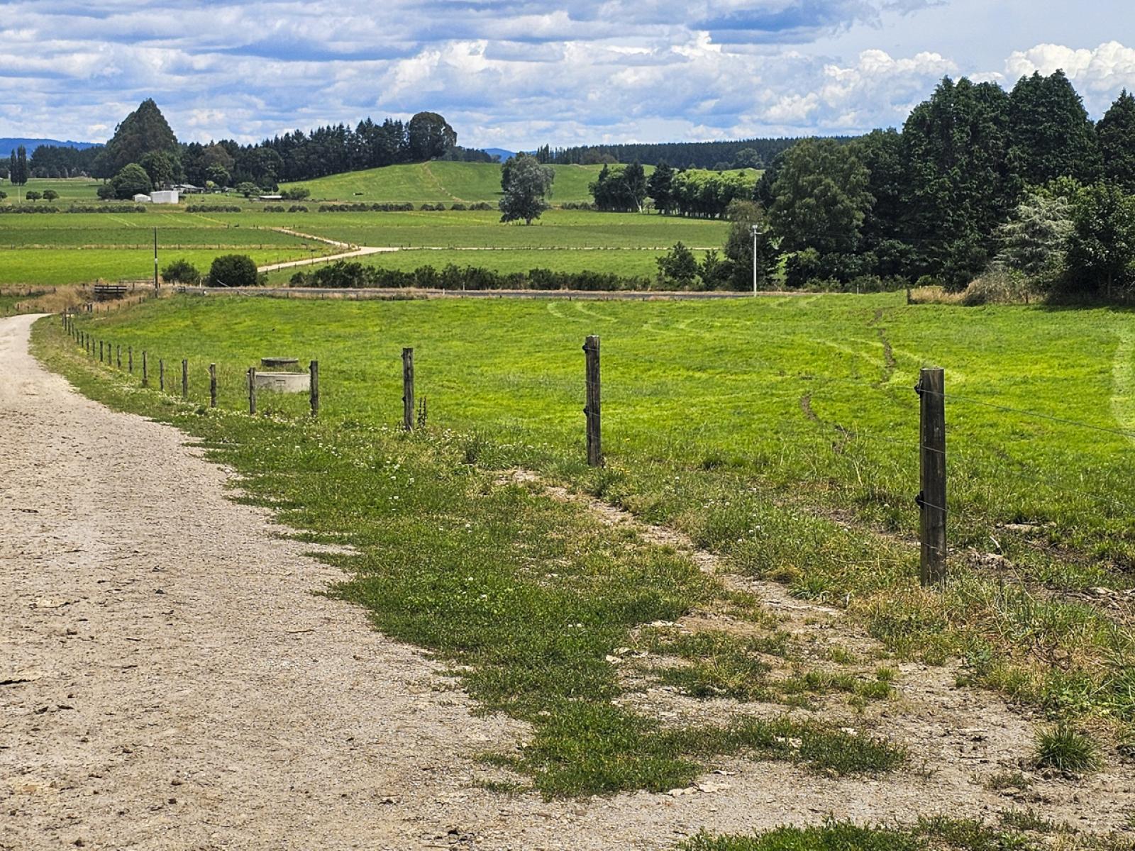 62 Ngamotu Road, Rerewhakaaitu