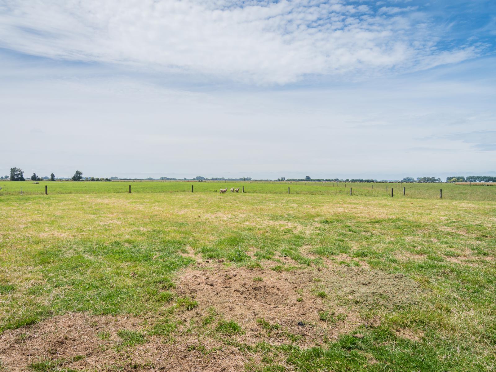246 Middleswamp Road, Temuka
