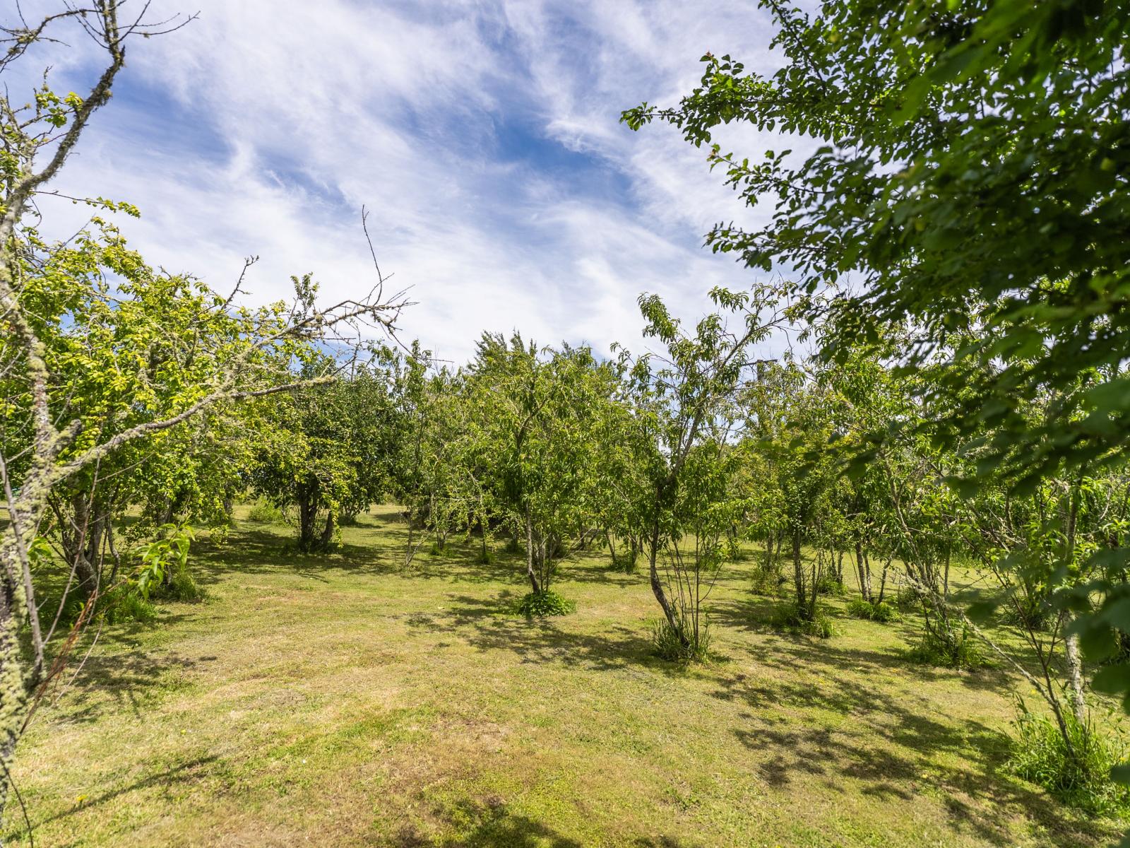 90 Kanakanaia Road, Te Karaka