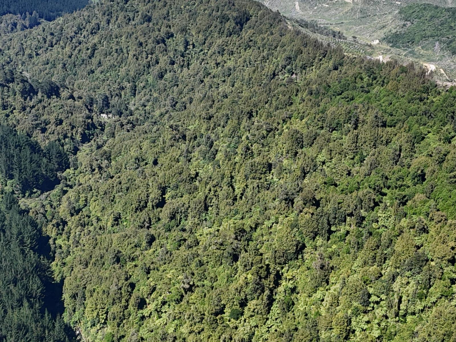 3 and 7, 1005 Rangitatau East Road, Kai Iwi