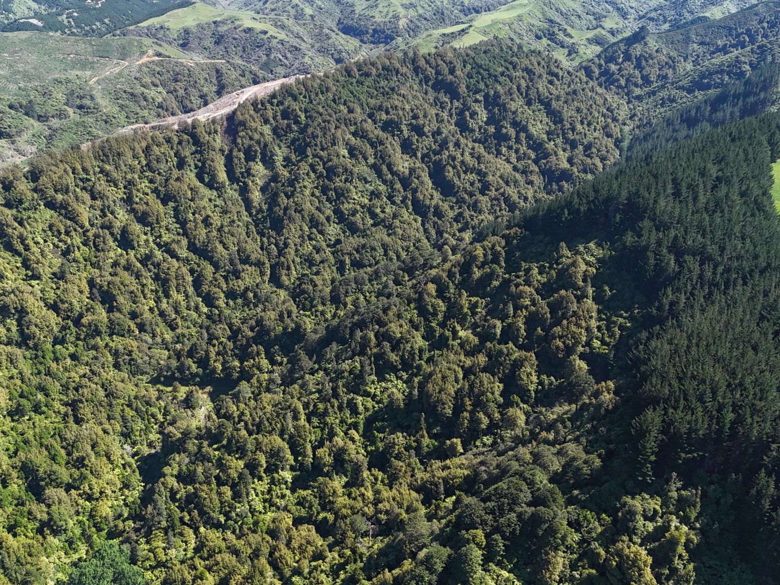 3 and 7, 1005 Rangitatau East Road, Kai Iwi