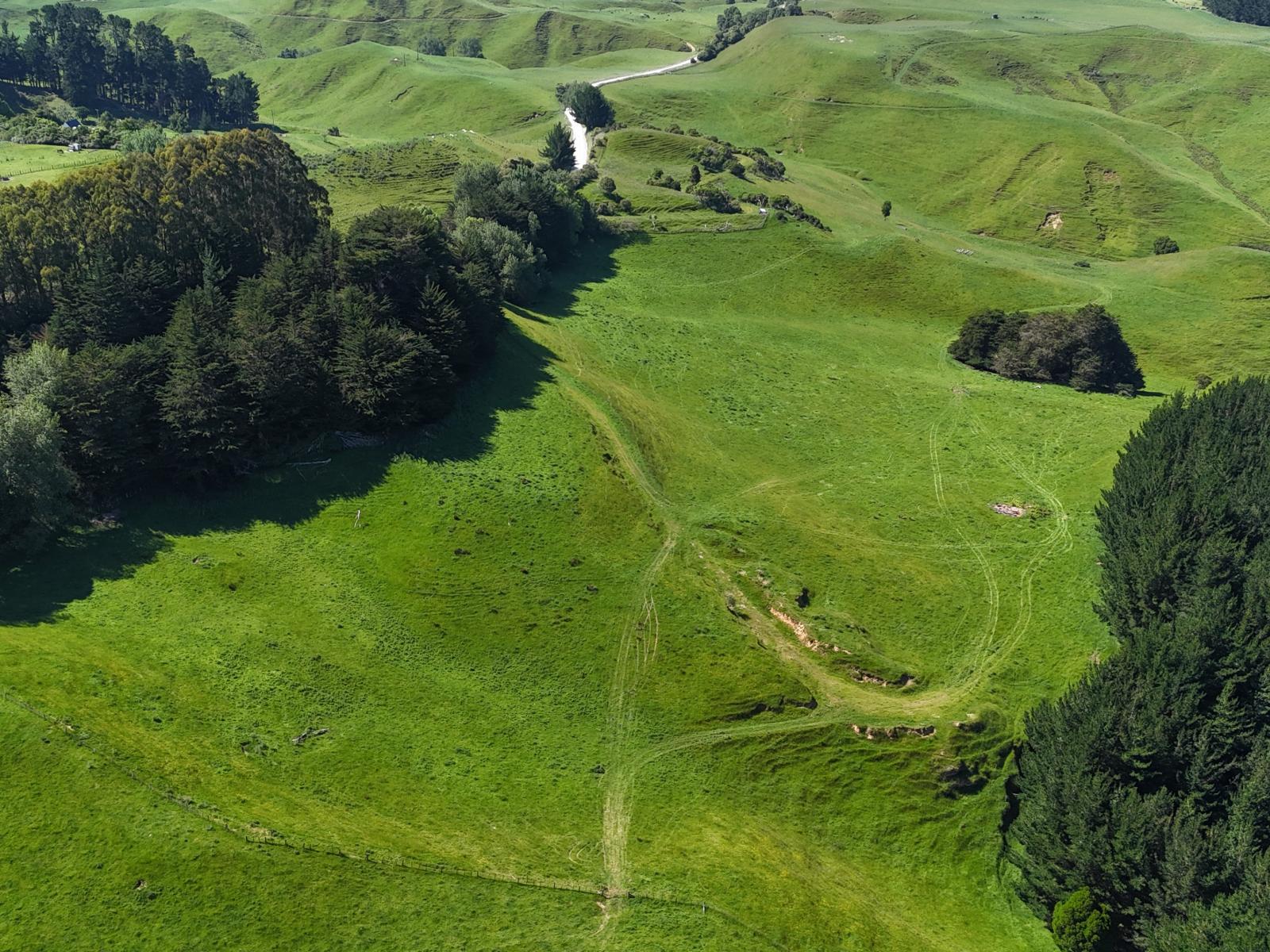 3 and 7, 1005 Rangitatau East Road, Kai Iwi