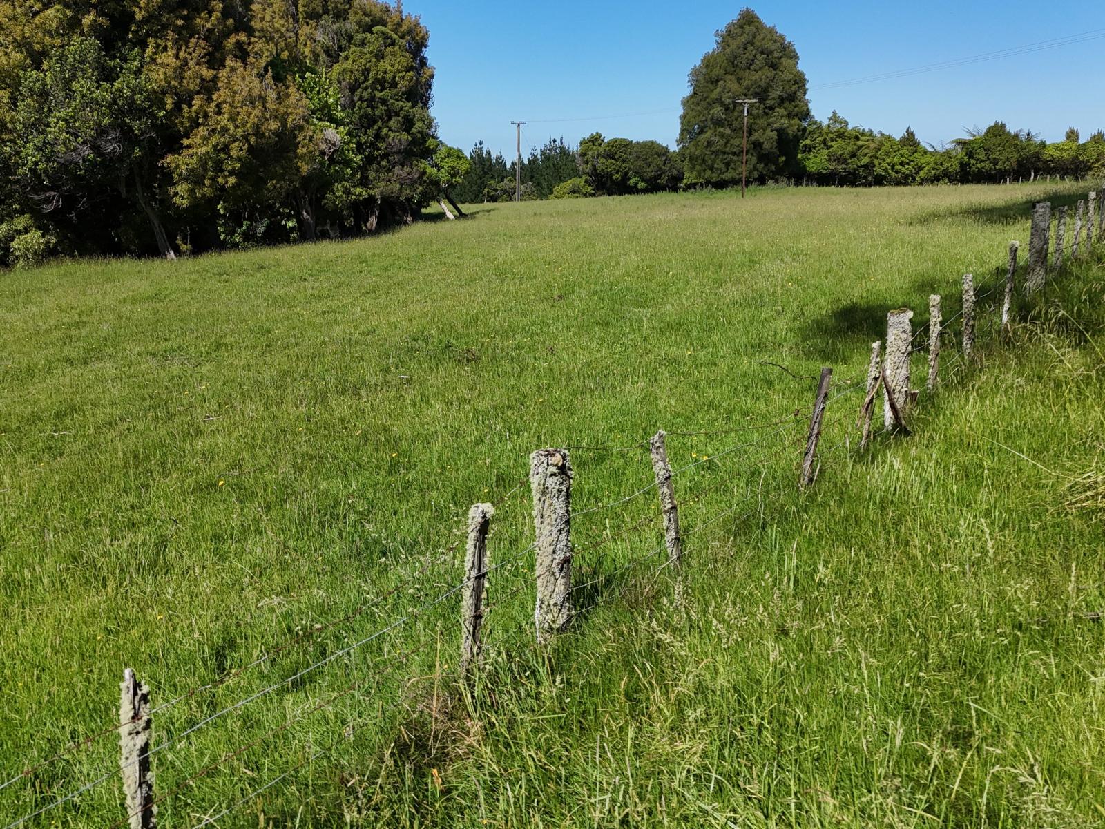 3 and 7, 1005 Rangitatau East Road, Kai Iwi