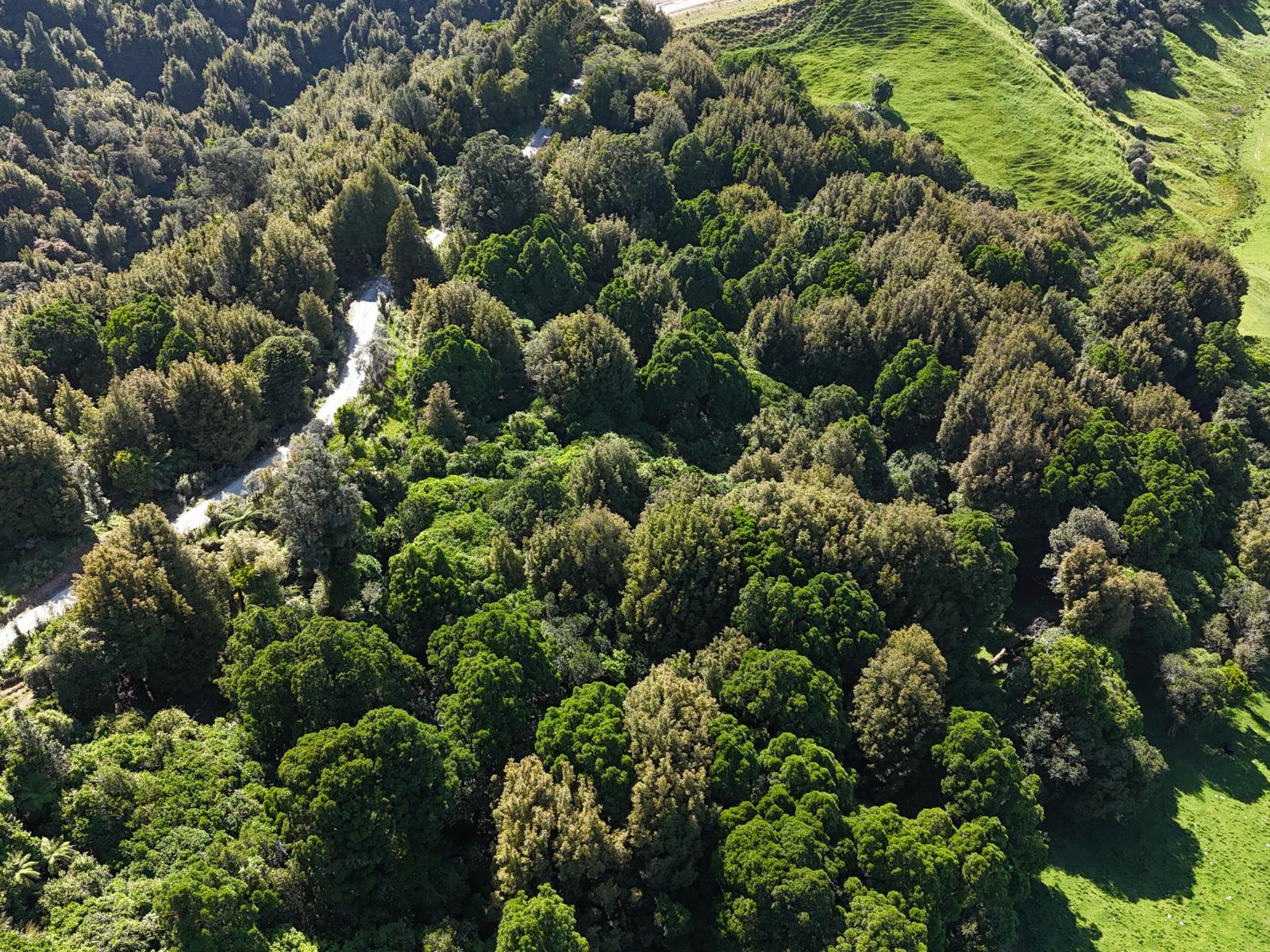 3 and 7, 1005 Rangitatau East Road, Kai Iwi