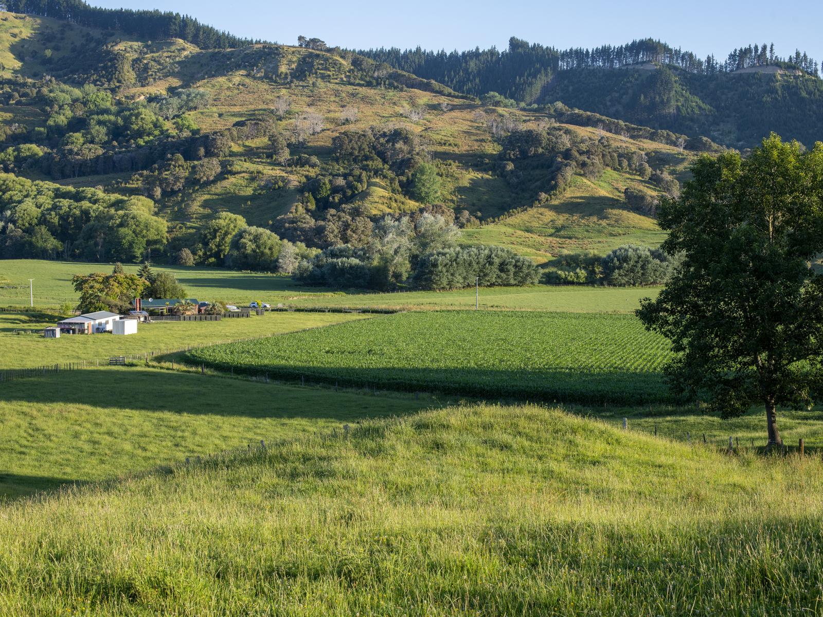 749 Kanakanaia Road, Te Karaka