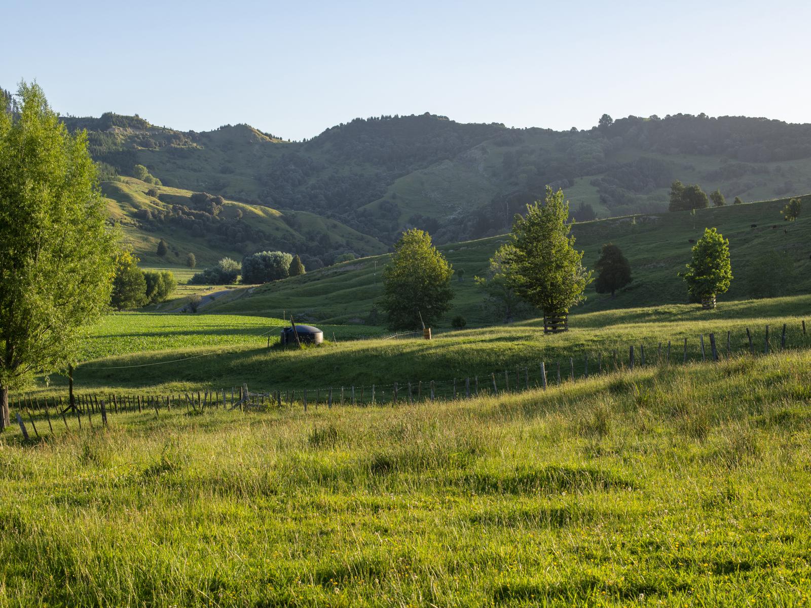 749 Kanakanaia Road, Te Karaka