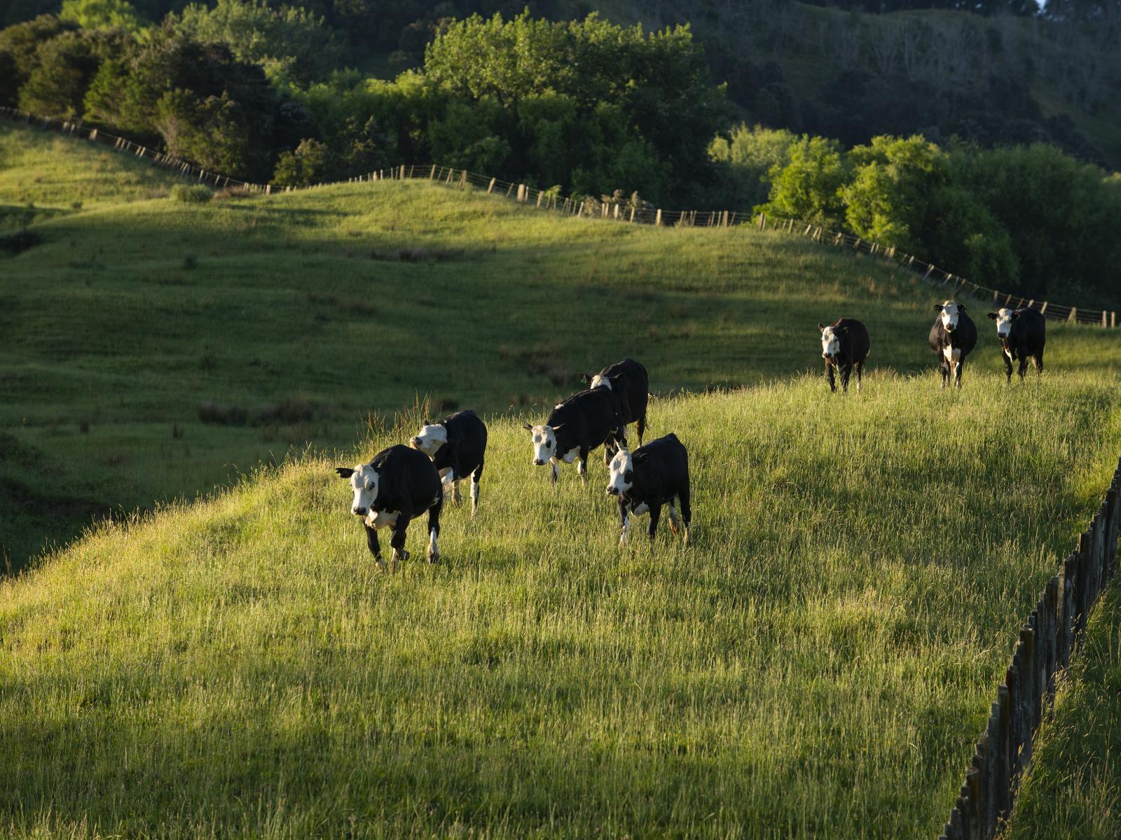 749 Kanakanaia Road, Te Karaka