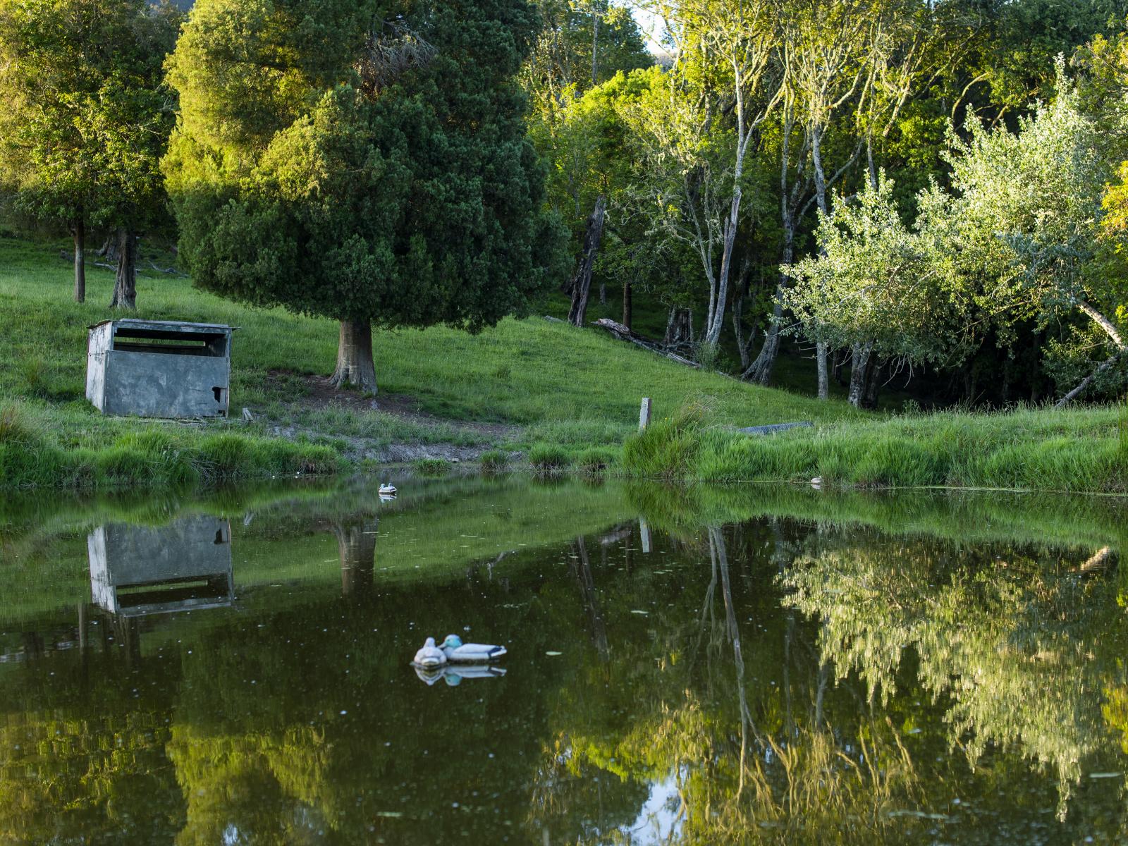749 Kanakanaia Road, Te Karaka