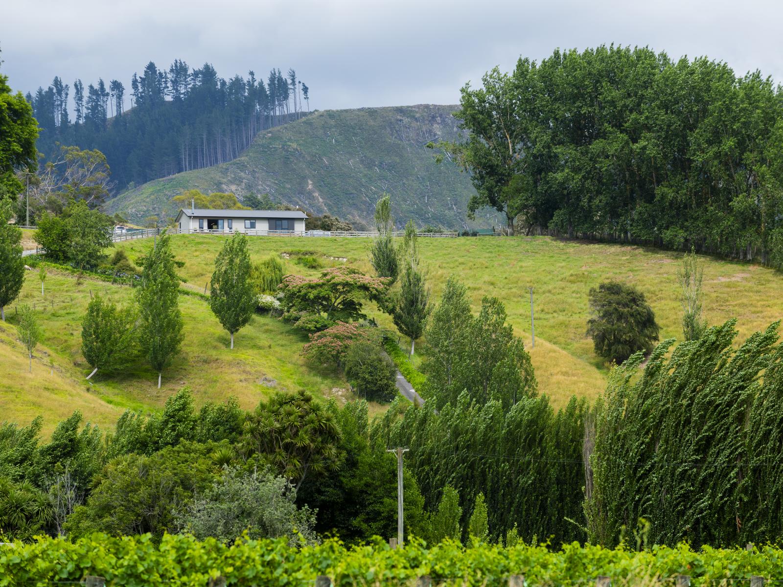 909A Wharekopae Road, Ngatapa