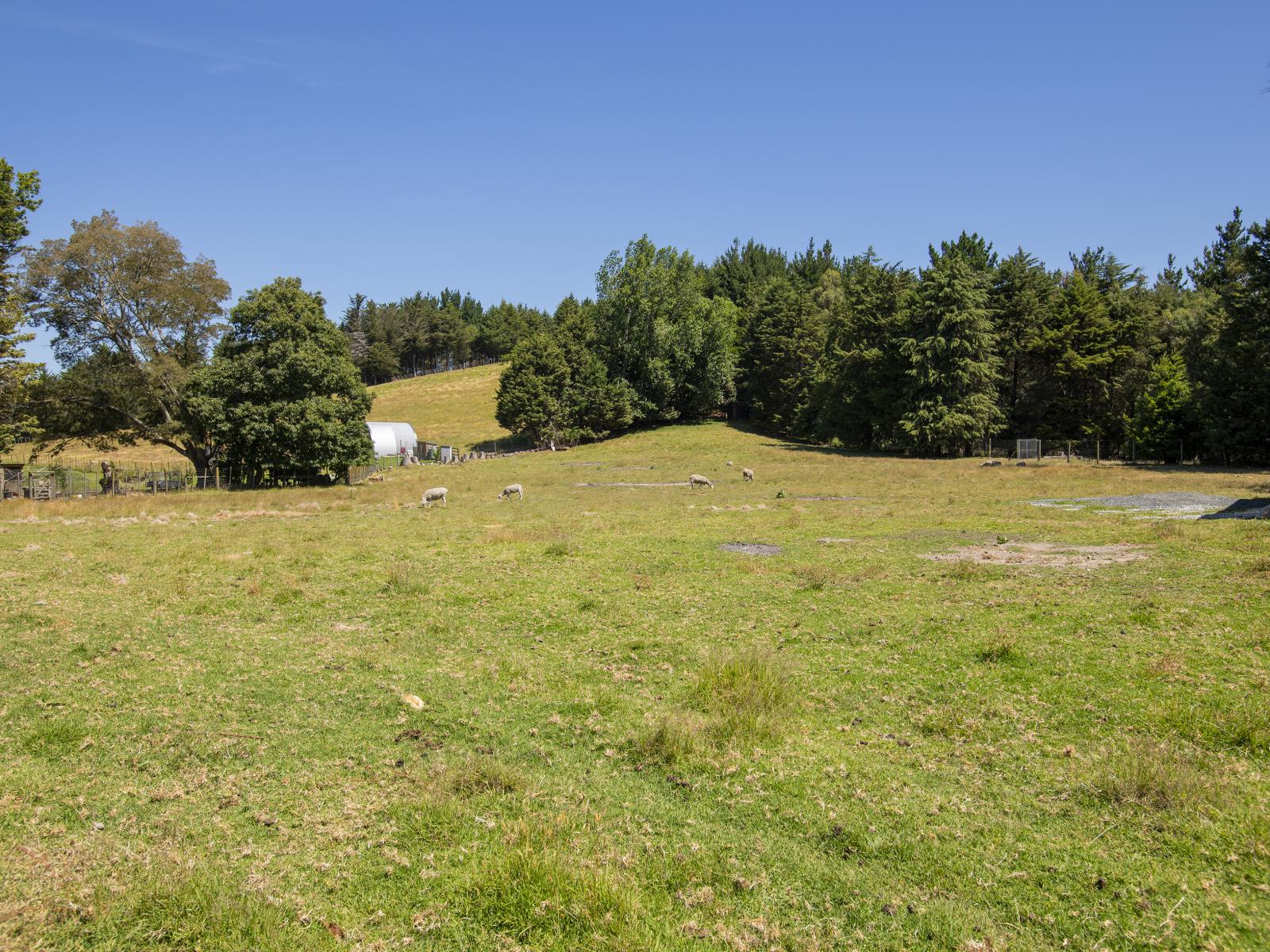 909A Wharekopae Road, Ngatapa