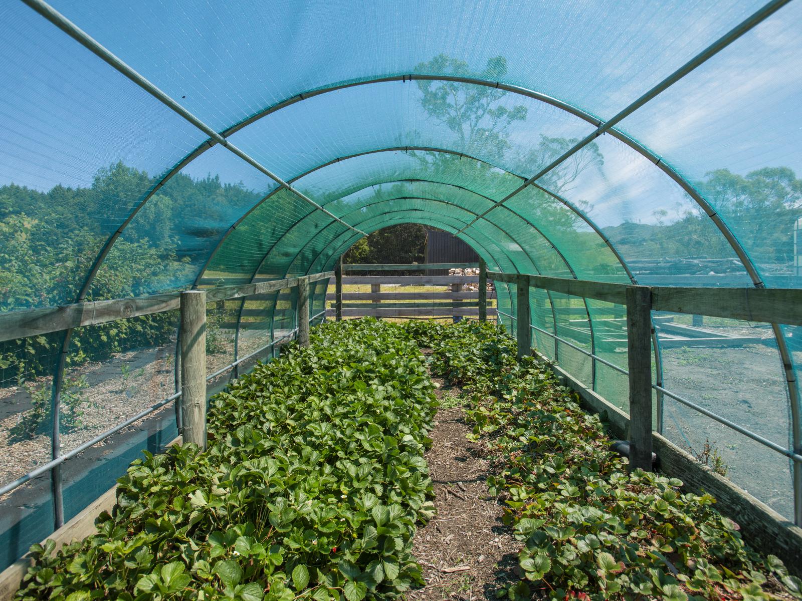 909A Wharekopae Road, Ngatapa