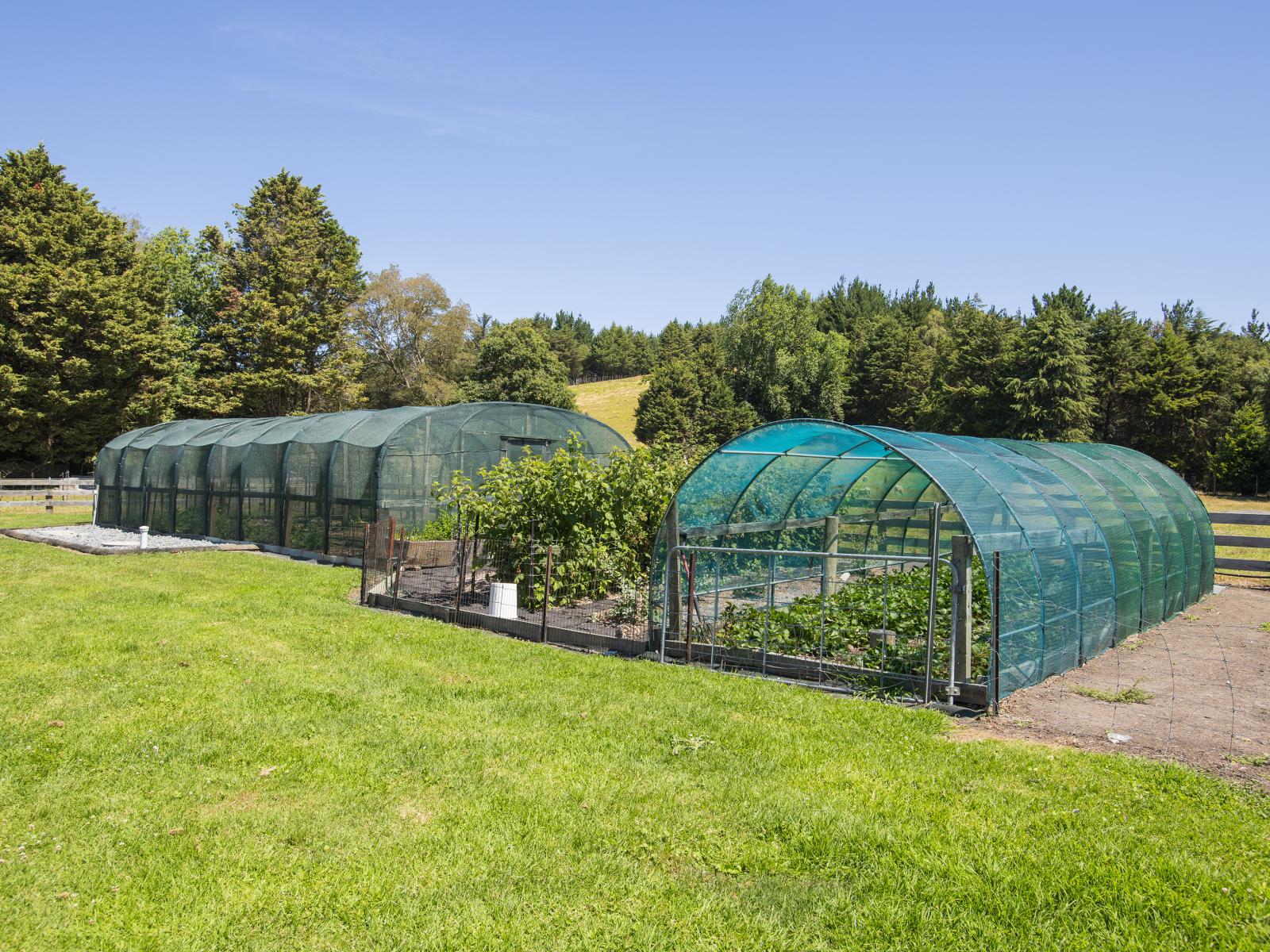 909A Wharekopae Road, Ngatapa