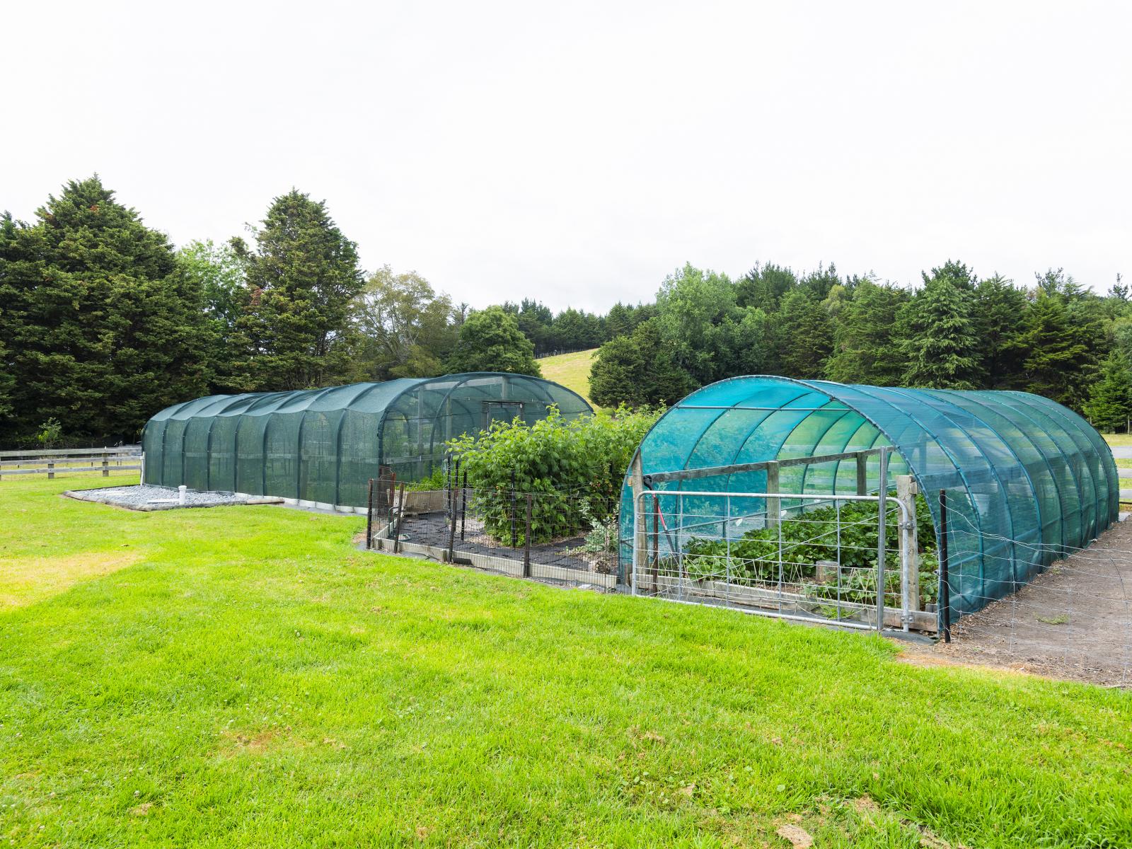 909A Wharekopae Road, Ngatapa