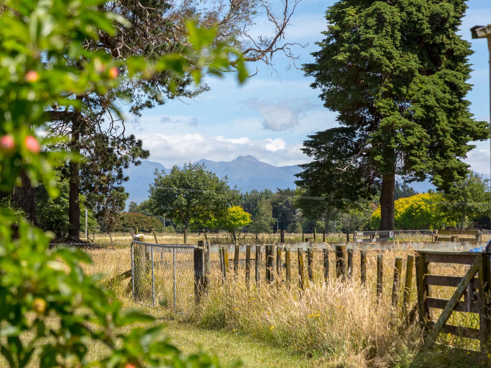 354D Manaia Road, Masterton