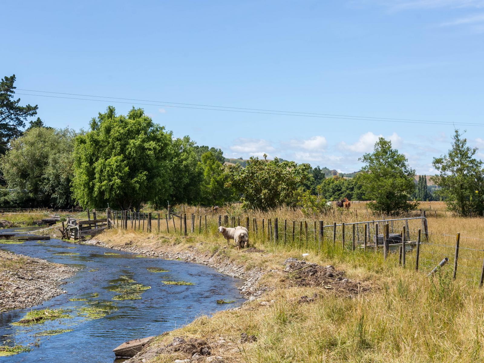 354D Manaia Road, Masterton