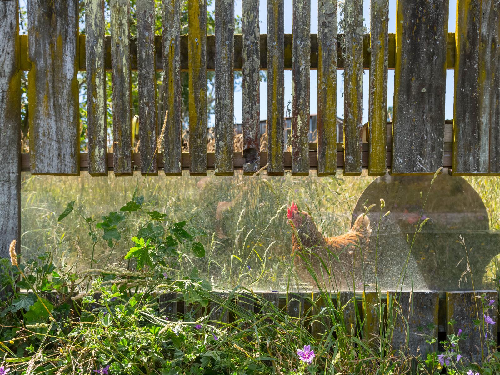 354D Manaia Road, Masterton