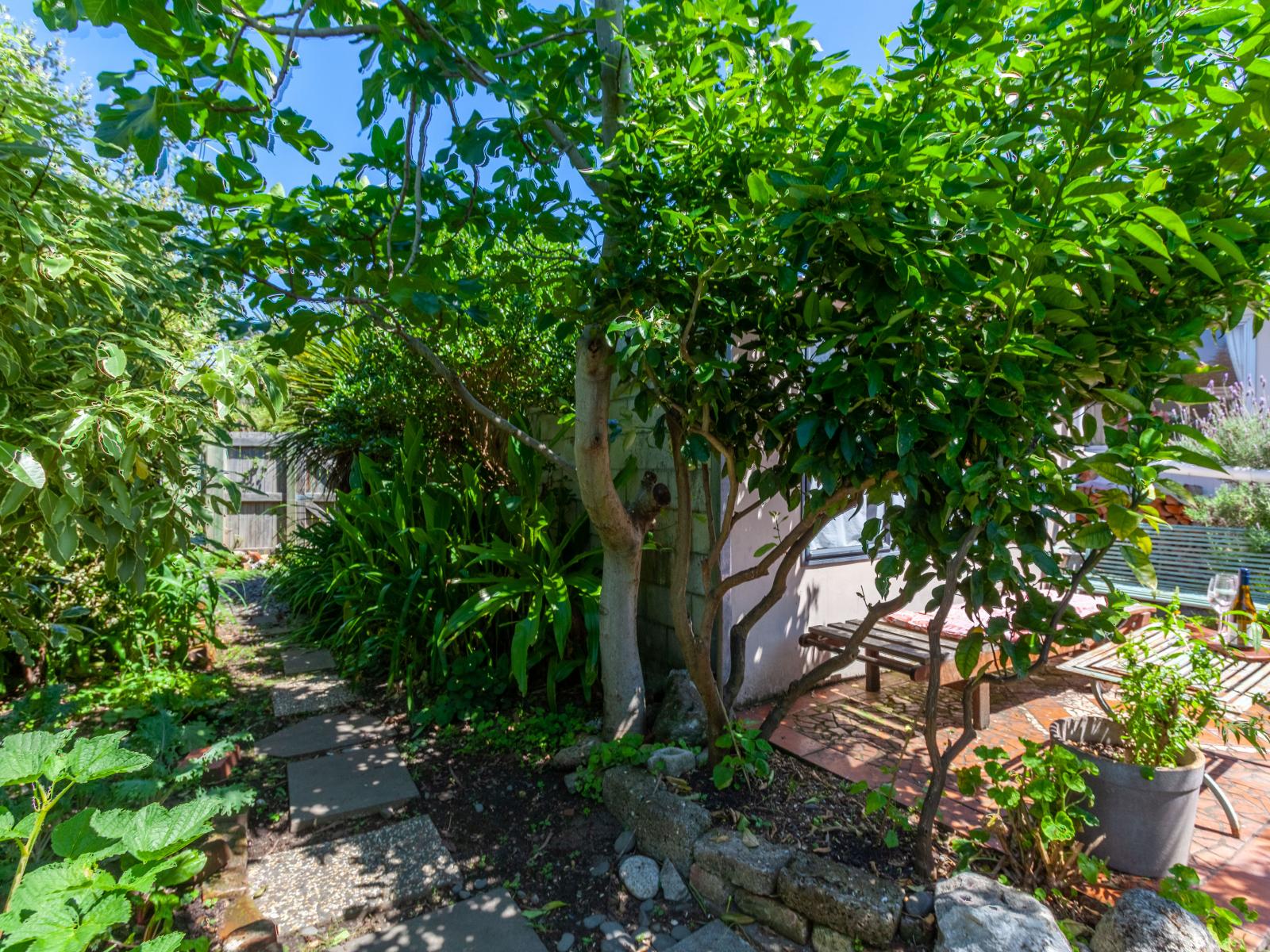 5/95 Nelson Crescent, Napier South