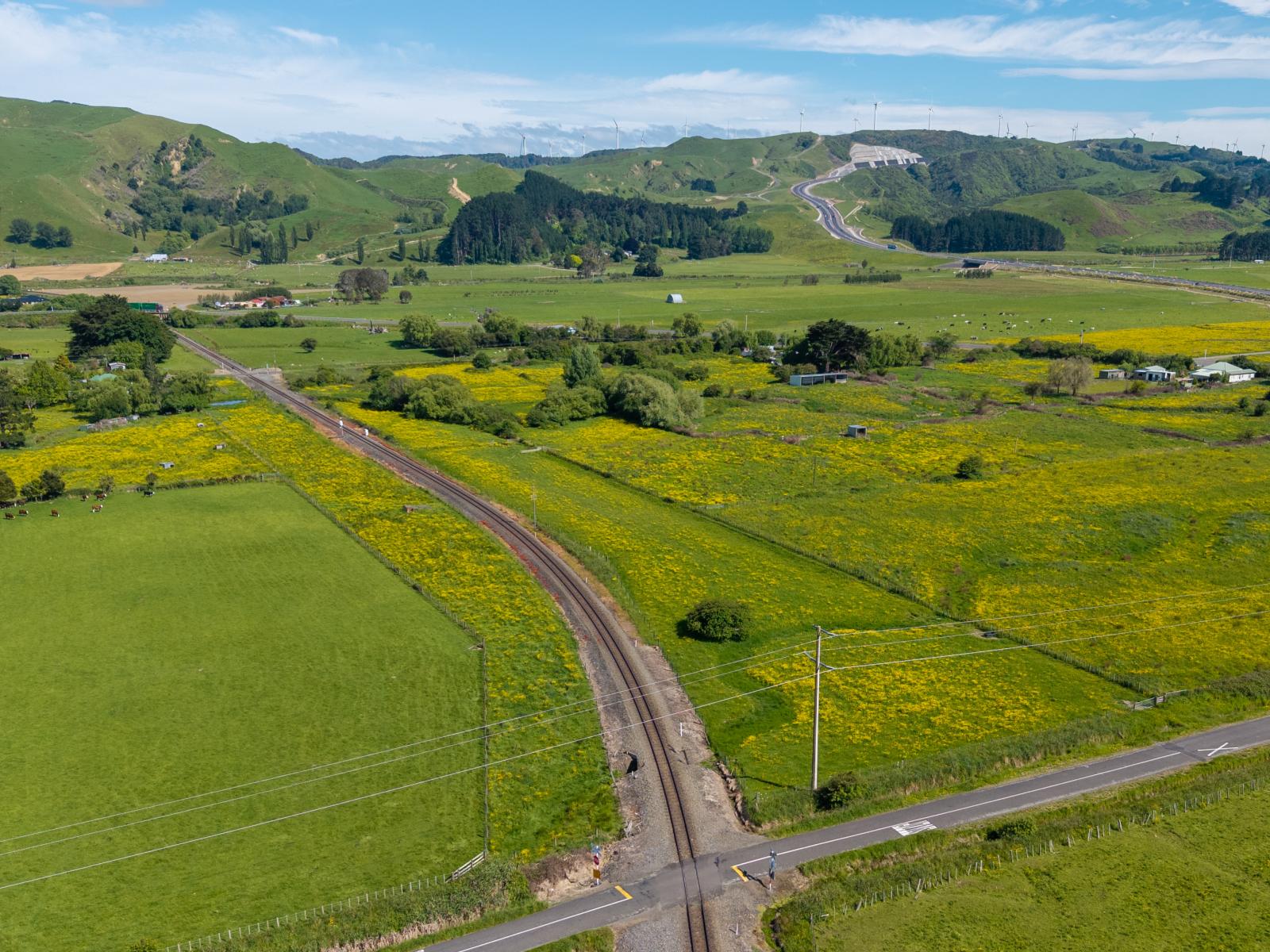 9 Franklin Road, Woodville